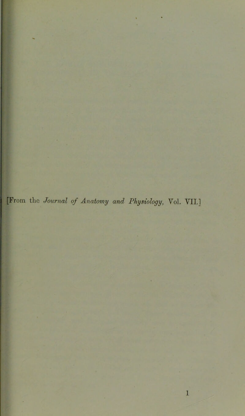 [From the Journal of Anatomy and Physiology, Vol. VILl 1