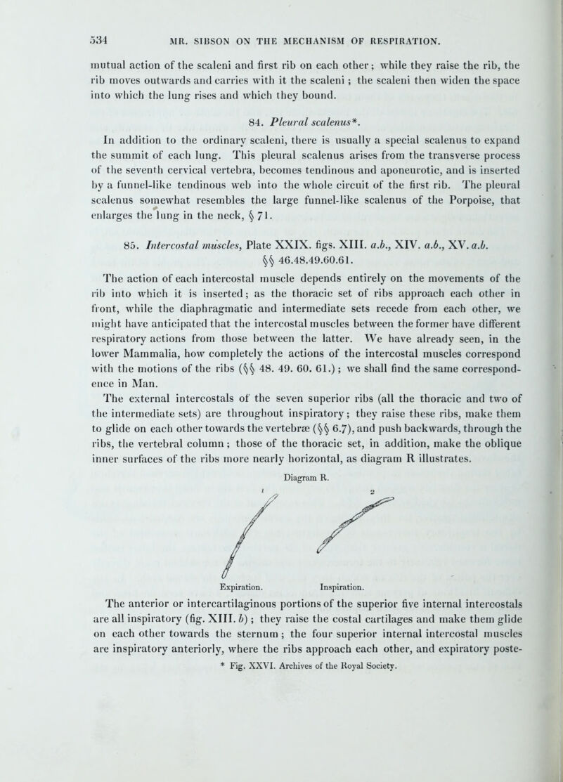 mutual action of the scaleni and first rib on each other; while they raise the rib, the rib moves outwards and carries with it the scaleni ; the scaleni then widen the space into which the lung rises and which they bound. 84. Pleural scalenus*. In addition to the ordinary scaleni, there is usually a special scalenus to expand the summit of each lung. This pleural scalenus arises from the transverse process of the seventh cervical vertebra, becomes tendinous and aponeurotic, and is inserted by a funnel-like tendinous web into the whole circuit of the first rib. The pleural scalenus somewhat resembles the large funnel-like scalenus of the Porpoise, that enlarges the lung in the neck, § 71- 85. Intercostal muscles, Plate XXIX. figs. XIII. a.b., XIV. a.6., XY.a.b. 46.48.49.60.61. The action of each intercostal muscle depends entirely on the movements of the rib into which it is inserted; as the thoracic set of ribs approach each other in front, while the diaphragmatic and intermediate sets recede from each other, we might have anticipated that the intercostal muscles between the former have different respiratory actions from those between the latter. We have already seen, in the lower Mammalia, how completely the actions of the intercostal muscles correspond with the motions of the ribs {^^ 48. 49. 60. 61.); we shall find the same correspond- ence in Man. The external intercostals of the seven superior ribs (all the thoracic and two of the intermediate sets) are throughout inspiratory; they raise these ribs, make them to glide on each other towards the vertebrae 6.7), and push backwards, through the ribs, the vertebral column; those of the thoracic set, in addition, make the oblique inner surfaces of the ribs more nearly horizontal, as diagram R illustrates. Diagram R. Expiration. Inspiration. The anterior or intercartilaginous portions of the superior five internal intercostals are all inspiratory (fig. XIII. b); they raise the costal cartilages and make them glide on each other towards the sternum ; the four superior internal intercostal muscles are inspiratory anteriorly, where the ribs approach each other, and expiratory poste- * Fig. XXVI. Archives of the Royal Society.