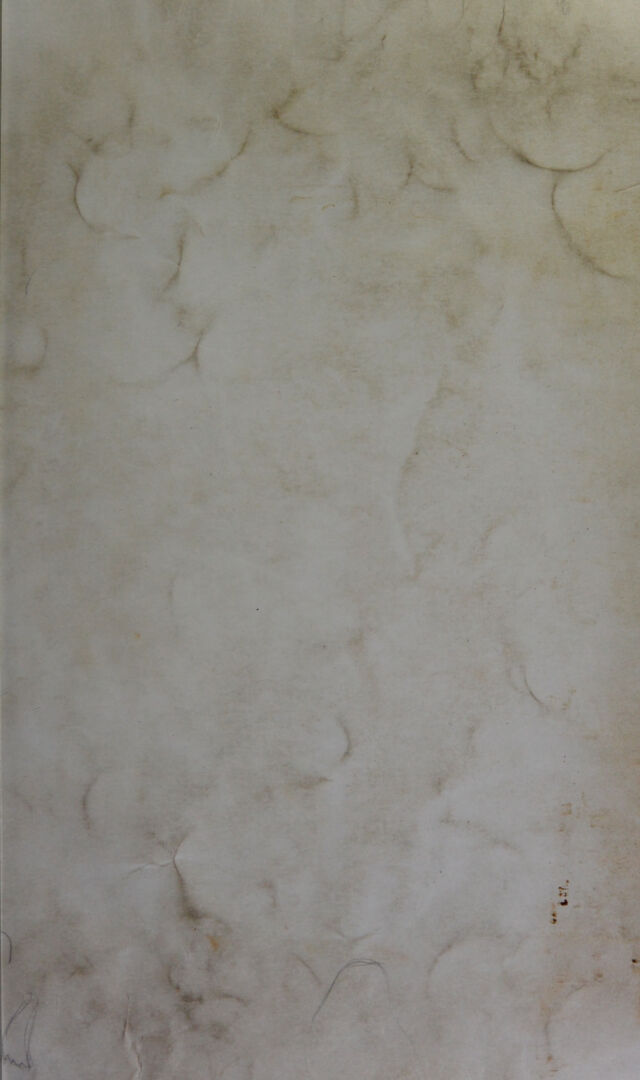 digitised image 1