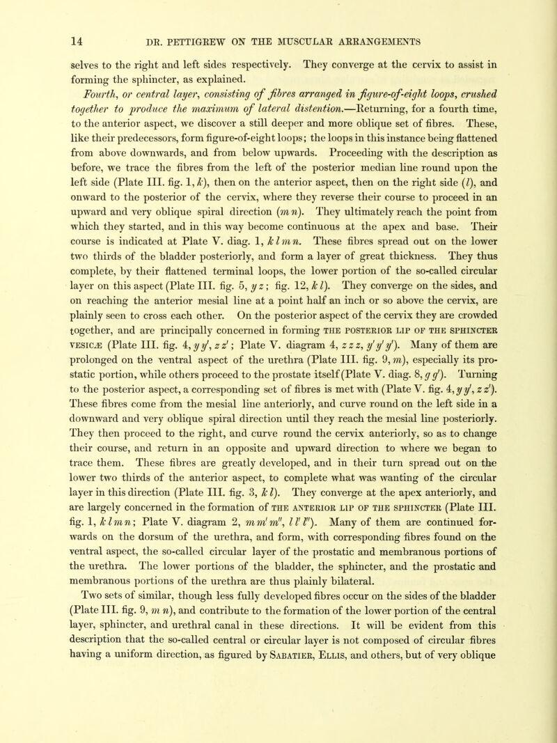 selves to the right and left sides respectively. They converge at the cervix to assist in forming the sphincter, as explained. Fourth, or central layer, consisting of fibres arranged in figure-of-eight loops, crushed together to produce the maximum of lateral distention.—Returning, for a fourth time, to the anterior aspect, we discover a still deeper and more oblique set of fibres. These, like their predecessors, form figure-of-eight loops; the loops in this instance being flattened from above downwards, and from below upwards. Proceeding with the description as before, we trace the fibres from the left of the posterior median line round upon the left side (Plate III. fig. 1, k), then on the anterior aspect, then on the right side {I), and onward to the posterior of the cervix, where they reverse their course to proceed in an upward and very oblique spiral direction {m n). They ultimately reach the point from which they started, and in this way become continuous at the apex and base. Their course is indicated at Plate V. diag. 1, klmn. These fibres spread out on the lower two thirds of the bladder posteriorly, and form a layer of great thickness. They thus complete, by their flattened terminal loops, the lower portion of the so-called circular layer on this aspect (Plate III. fig. ^, yz; fig. 12, k I). They converge on the sides, and on reaching the anterior mesial line at a point half an inch or so above the cervix, are plainly seen to cross each other. On the posterior aspect of the cervix they are crowded together, and are principally concerned in forming the posteeioe lip of the SPHmcTER VESICA (Plate III. fig. i,yy',zz' \ Plate V. diagram 4, zzz, y'y' y'). Many of them are prolonged on the ventral aspect of the urethra (Plate III. fig. 9, m), especially its pro- static portion, while others proceed to the prostate itself (Plate V. diag. S,gg'). Turning to the posterior aspect, a corresponding set of fibres is met with (Plate V. fig. 4:,yy',z z'). These fibres come from the mesial line anteriorly, and curve round on the left side in a downward and very oblique spiral direction until they reach the mesial line posteriorly. They then proceed to the right, and curve round the cervix anteriorly, so as to change their course, and return in an opposite and upward direction to where we began to trace them. These fibres are greatly developed, and in their turn spread out on the lower two thirds of the anterior aspect, to complete what was wanting of the circular layer in this direction (Plate III. fig. 3, k I). They converge at the apex anteriorly, and are largely concerned in the formation of the anterior lip op the sphincter (Plate III. fig, 1, klmn; Plate V. diagram 2, mm'm, II' I). Many of them are continued for- wards on the dorsum of the urethra, and form, with corresponding fibres found on the ventral aspect, the so-called circular layer of the prostatic and membranous portions of the urethra. The lower portions of the bladder, the sphincter, and the prostatic and membranous portions of the urethra are thus plainly bilateral. Two sets of similar, though less fully developed fibres occur on the sides of the bladder (Plate III. fig. 9, m n), and contribute to the formation of the lower portion of the central layer, sphincter, and urethral canal in these directions. It will be evident from this description that the so-called central or circular layer is not composed of circular fibres having a uniform direction, as figured by Sabatier, Ellis, and others, but of very oblique