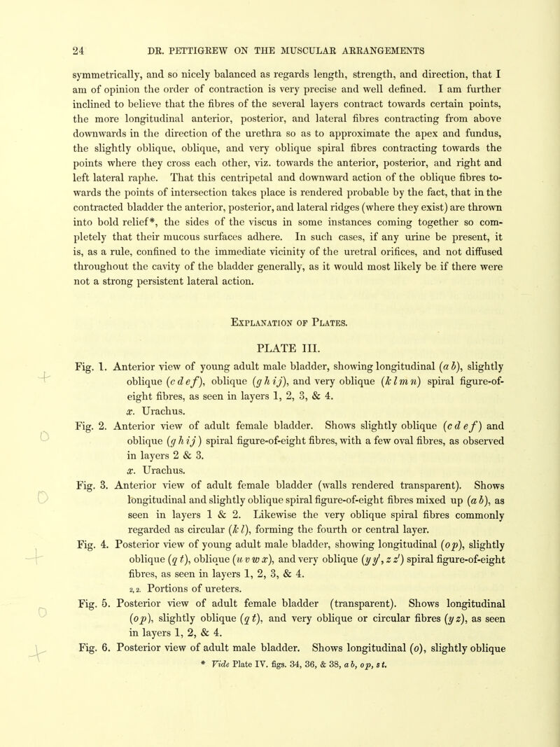 symmetrically, and so nicely balanced as regards length, strength, and direction, that I am of opinion the order of contraction is very precise and well defined. I am further inclined to believe that the fibres of the several layers contract towards certain points, the more longitudinal anterior, posterior, and lateral fibres contracting from above downwards in the direction of the urethra so as to approximate the apex and fundus, the slightly oblique, oblique, and very oblique spiral fibres contracting towards the points where they cross each other, viz. towards the anterior, posterior, and right and left lateral raphe. That this centripetal and downward action of the oblique fibres to- wards the points of intersection takes place is rendered probable by the fact, that in the contracted bladder the anterior, posterior, and lateral ridges (where they exist) are thrown into bold relief*, the sides of the viscus in some instances coming together so com- pletely that their mucous surfaces adhere. In such cases, if any urine be present, it is, as a rule, confined to the immediate vicinity of the uretral orifices, and not difiused throughout the cavity of the bladder generally, as it would most likely be if there were not a strong persistent lateral action. Explanation of Plates. PLATE III. Fig. 1. Anterior view of young adult male bladder, showing longitudinal (ab), slightly oblique (c d ef), oblique (g k ij), and very oblique (Jclmn) spiral figure-of- eight fibres, as seen in layers 1, 2, 3, «& 4. X. Urachus. Fig. 2. Anterior view of adult female bladder. Shows slightly oblique {c d ef) and oblique {g h ij ) spiral figure-of-eight fibres, with a few oval fibres, as observed in layers 2 & 3. X. Urachus. Fig. 3. Anterior view of adult female bladder (walls rendered transparent). Shows longitudinal and slightly oblique spiral figure-of-eight fibres mixed up [a b), as seen in layers 1 & 2. Likewise the very oblique spiral fibres commonly regarded as circular (k I), forming the fourth or central layer. Fig. 4. Posterior view of young adult male bladder, showing longitudinal (op), slightly oblique (q t), oblique (uvw x), and very oblique (yy',z z') spiral figure-of-eight fibres, as seen in layers 1, 2, 3, & 4. 2,2. Portions of ureters. Fig. 5. Posterior view of adult female bladder (transparent). Shows longitudinal (op), slightly oblique (qt), and very oblique or circular fibres (yz), as seen in layers 1, 2, & 4. Fig. 6. Posterior view of adult male bladder. Shows longitudinal (o), slightly oblique * ride Plate IV. figs. 34, 36, & 38, ab,op,st.