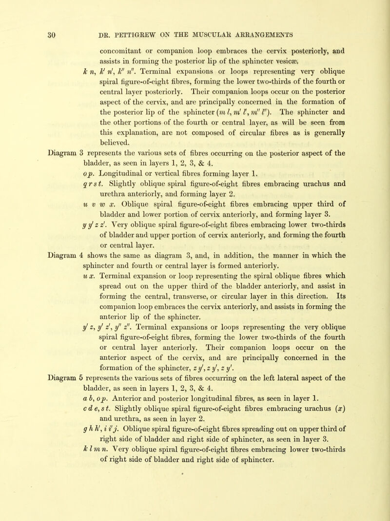concomitant or companion loop embraces the cervix posteriorly, and assists in forming the posterior lip of the sphincter vesicae. k n, Ji! ri, n. Terminal expansions or loops representing very oblique spiral figure-of-eight fibres, forming the lower two-thirds of the fourth or central layer posteriorly. Their companion loops occur on the posterior aspect of the cervix, and are principally concerned in the formation of the posterior lip of the sphincter {ni I, ml I', m I). The sphincter and the other portions of the fourth or central layer, as will be seen from this explanation, are not composed of circular fibres as is generally believed. Diagram 3 represents the various sets of fibres occurring on the posterior aspect of the bladder, as seen in layers 1, 2, 3, & 4. 0^. Longitudinal or vertical fibres forming layer 1. qrst. Slightly oblique spiral figure-of-eight fibres embracing urachus and urethra anteriorly, and forming layer 2. u V w X. Oblique spiral figure-of-eight fibres embracing upper third of bladder and lower portion of cervix anteriorly, and forming layer 3. yi/ z z'. Very oblique spiral figure-of-eight fibres embracing lower two-thirds of bladder and upper portion of cervix anteriorly, and forming the fourth or central layer. Diagram 4 shows the same as diagram 3, and, in addition, the manner in which the sphincter and fourth or central layer is formed anteriorly. It, X. Terminal expansion or loop representing the spiral oblique fibres which spread out on the upper third of the bladder anteriorly, and assist in forming the central, transverse, or circular layer in this direction. Its companion loop embraces the cervix anteriorly, and assists in forming the anterior lip of the sphincter. y' z, y' z\ y z. Terminal expansions or loops representing the very oblique spiral figure-of-eight fibres, forming the lower two-thirds of the fourth or central layer anteriorly. Their companion loops occur on the anterior aspect of the cervix, and are principally concerned in the formation of the sphincter, z y', z y\ z y'. Diagram 5 represents the various sets of fibres occurring on the left lateral aspect of the bladder, as seen in layers 1, 2, 3, & 4. a h, op. Anterior and posterior longitudinal fibres, as seen in layer 1. cde,st. Slightly oblique spiral figure-of-eight fibres embracing urachus (x) and urethra, as seen in layer 2. g h h', i i'J. Oblique spiral figure-of-eight fibres spreading out on upper third of right side of bladder and right side of sphincter, as seen in layer 3. klmn. Very oblique spiral figure-of-eight fibres embracing lower two-thirds of right side of bladder and right side of sphincter. 9