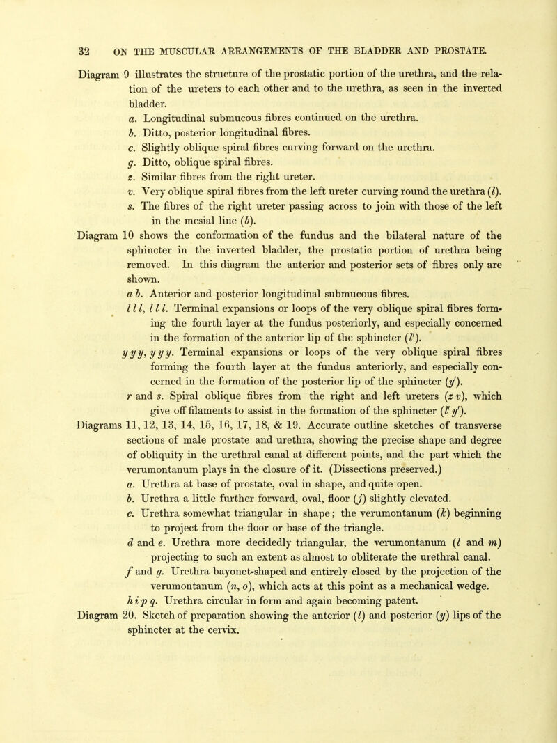 Diagram 9 illustrates the structure of the prostatic portion of the urethra, and the rela- tion of the ureters to each other and to the urethra, as seen in the inverted bladder. a. Longitudinal submucous fibres continued on the urethra. h. Ditto, posterior longitudinal fibres. c. Slightly oblique spiral fibres curving forward on the urethra. g. Ditto, oblique spiral fibres. z. Similar fibres from the right ureter. V. Very oblique spiral fibres from the left ureter curving round the urethra {J), s. The fibres of the right ureter passing across to join with those of the left in the mesial line (b). Diagram 10 shows the conformation of the fundus and the bilateral nature of the sphincter in the inverted bladder, the prostatic portion of urethra being removed. In this diagram the anterior and posterior sets of fibres only are shovm. a h. Anterior and posterior longitudinal submucous fibres. Ill, III. Terminal expansions or loops of the very oblique spiral fibres form- ing the fourth layer at the fundus posteriorly, and especially concerned in the formation of the anterior lip of the sphincter (/'). yyy^yyy. Terminal expansions or loops of the very oblique spiral fibres forming the fourth layer at the fundus anteriorly, and especially con- cerned in the formation of the posterior lip of the sphincter (y). r and s. Spiral oblique fibres from the right and left ureters {z v), which give ofi filaments to assist in the formation of the sphincter {V y')- Diagrams 11,12, 13, 14, 15, 16, 17, 18, & 19. Accurate outline sketches of transverse sections of male prostate and urethra, showing the precise shape and degree of obliquity in the urethral canal at difierent points, and the part which the verumontanum plays in the closure of it. (Dissections preserved.) a. Urethra at base of prostate, oval in shape, and quite open. h. Urethra a little further forward, oval, floor {j) slightly elevated. c. Urethra somewhat triangular in shape; the verumontanum {k) beginning to project from the floor or base of the triangle. d and e. Urethra more decidedly triangular, the verumontanum {I and m) projecting to such an extent as almost to obliterate the urethral canal, /and g. Urethra bayonet-shaped and entirely closed by the projection of the verumontanum [n, o), which acts at this point as a mechanical wedge. hip q. Urethra circular in form and again becoming patent. Diagram 20. Sketch of preparation showing the anterior (l) and posterior (y) lips of the sphincter at the cervix.
