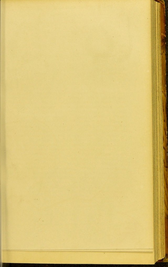 digitised image 3