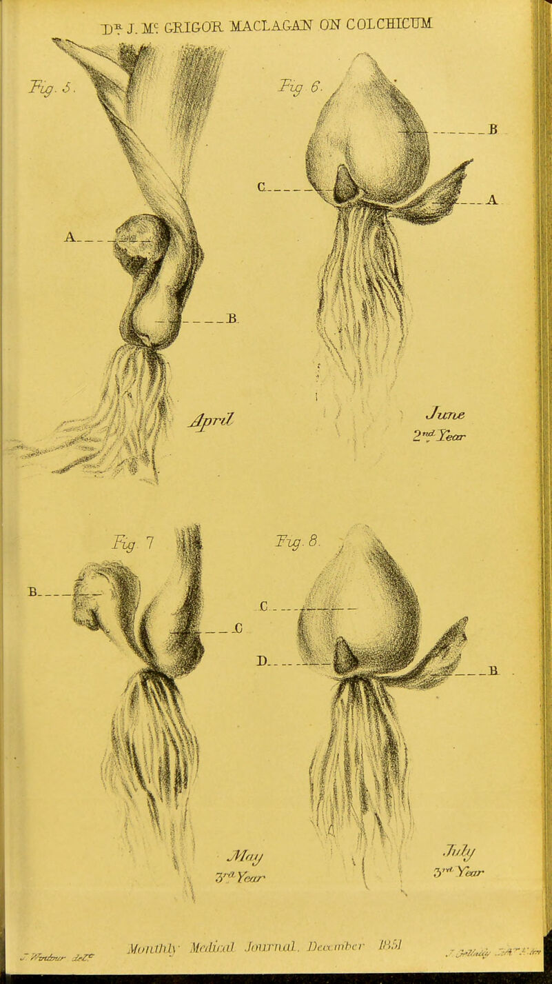 Munthh' Mediixd Journal, December 1851