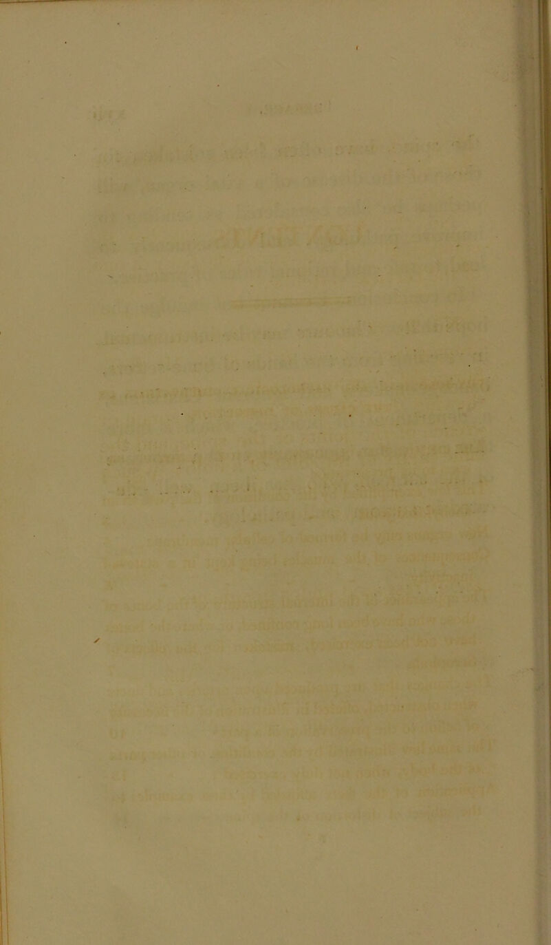 1 ; ■ ‘ '■ »- • ' - . ■ - . i i. / ' *
