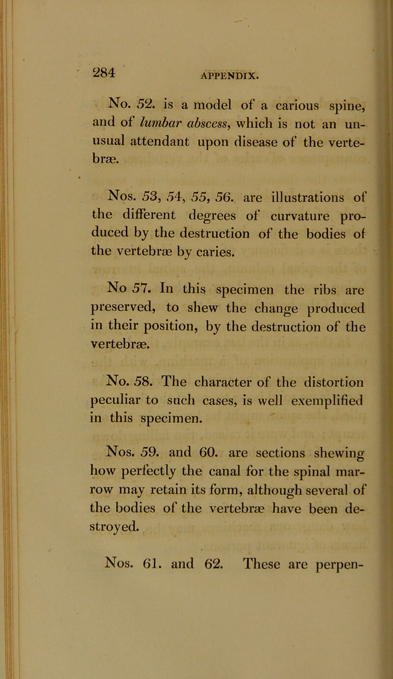 No. 52. is a model of a carious spine, and of lumbar abscess, which is not an un- usual attendant upon disease of the verte- bras. Nos. 53, 54, 55, 56. are illustrations of the different degrees of curvature pro- duced by the destruction of the bodies of the vertebrae by caries. No 57. In this specimen the ribs are preserved, to shew the change produced in their position, by the destruction of the vertebrae. No. 58. The character of the distortion peculiar to such cases, is well exemplified in this specimen. Nos. 59. and 60. are sections shewing how perfectly the canal for the spinal mar- row may retain its form, although several of the bodies of the vertebrae have been de- stroyed. Nos. 61. and 62. These are perpen-