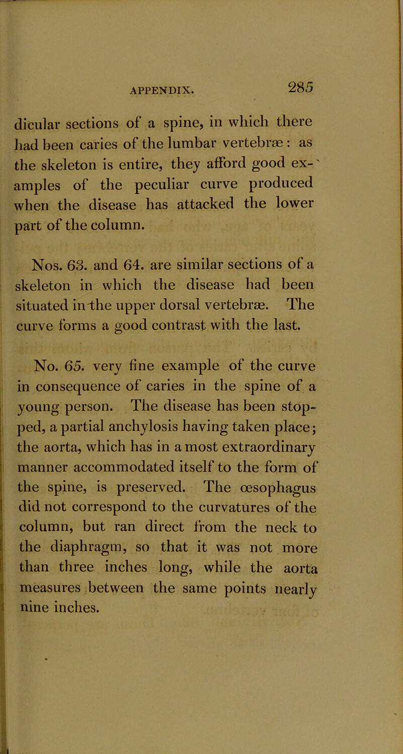 dicular sections of a spine, in which there had been caries of the lumbar vertebrae : as the skeleton is entire, they afford good ex-' amples of the peculiar curve produced when the disease has attacked the lower part of the column. Nos. 63. and 64. are similar sections of a skeleton in which the disease had been situated in the upper dorsal vertebrae. The curve forms a good contrast with the last. No. 65. very fine example of the curve in consequence of caries in the spine of a young person. The disease has been stop- ped, a partial anchylosis having taken place; the aorta, which has in a most extraordinary manner accommodated itself to the form of the spine, is preserved. The oesophagus did not correspond to the curvatures of the column, but ran direct from the neck to the diaphragm, so that it was not more than three inches long, while the aorta measures between the same points nearly nine inches.