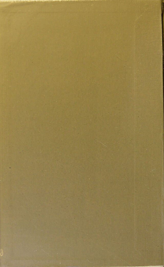 digitised image 2