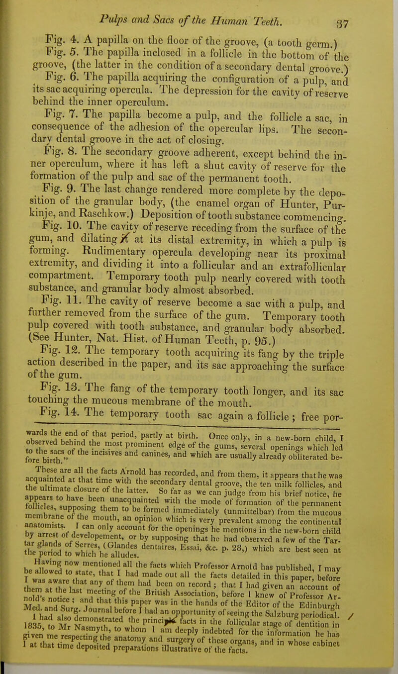 Fig. 4. A papilla on the floor of the groove, (a tooth geini.) Fig. 5. The papilla inclosed in a follicle in the bottom of 'tlie groove, (the latter in the condition of a secondary dental groove.) Fig. 6. The papilla acquiring the configuration of a pulp, and its sac acquiring opercula. The depression for the cavity of reserve behind the inner operculum. Fig. 7. The papilla become a pulp, and the follicle a sac, in consequence of the adhesion of the opercular lips. The secon- dary dental groove in the act of closing. Fig. 8. The secondary groove adherent, except behind the in- ner operculum, where it has left a shut cavity of reserve for the formation of the pulp and sac of the pennanent tooth. Fig. 9. The last change rendered more complete by the depo- sition of the granular body, (the enamel organ of Hunter, Pur- kinje, and Raschkow.) Deposition of tooth substance commencing. Fig. 10. The cavity of reserve receding from the surface of the gum, and dilating if at its distal extremity, in which a pulp is forming. Rudimentary opercula developing near its proximal extremity, and dividing it into a follicular and an extrafollicular compartment. Temporary tooth pulp nearly covered with tooth substance, and granular body almost absorbed. Fig. 11. The cavity of reserve become a sac with a pulp, and further removed from the surface of the gum. Temporary tooth pulp covered with tooth substance, and gi-anular body absorbed. (See Hunter, Nat. Hist, of Human Teeth, p. 95.) Fig. 12. The temporary tooth acquiring its fang by the triple action described in the paper, and its sac approaching the surface of the gum. Fig. 13. The fang of the temporary tooth longer, and its sac touching the mucous membrane of the mouth. Fig. 14. The temporary tooth sac again a follicle; free por- rbslveSV.lf.h*'' ^T'^' P^ at birth. Once only, in a new-born child, I to th™ nf ^J P'r''' ^Se of the gums, several openings which led f^re birth  ^ ^^'^ 'y ^^''^^y oWiterated be- .rnT,''-'! T ^AVnold has recorded, and from them, it appears thathewaa '^^'''^ 'he'ten Silk follicles, and Innl h T judge from his brief nodc^, he '='1^'''^ '^ '^^ ''^ of formation of the pennanent m S 'n ''f^fh'^ ^^^ immediately (unn.iUelbar) from the mucous aoaTom St °P';''\-'ch is very'prevalent among the continental bv ™ f / T °P^'g« h^ mentions in the i.ew-born child S ZuL a?Zt?'TrT' r 'PVosme that he had observed a few of the Tar- Havmg now mentioned all the facts which Professor Arnold has published I mav be allowed to state, that I had made out all the facts detailed in this pape ' before tb r tT'/''' .^ '^'^ ^^'^ ■' I '-aJ given an account of th m at the last meeting of the British Association, before I kn1;w of Professor Ar £?nd r '^'\ P^P the Raitor of ho Ed nburl; iMed and Surg. Journal before I had an opportunity of seeing the Salzburg pebdica 1835 fo S ''^ ^ ^''^ atogeT den Uon in i v.n'!. Nasmyth, to whom 1 am deeply indebted for the information e h fat t,rtim?denoiH '''^ -<1 surgery of these organs, and in Sc c bin 1 at mat time deposited preparations illustrative of the facts. /