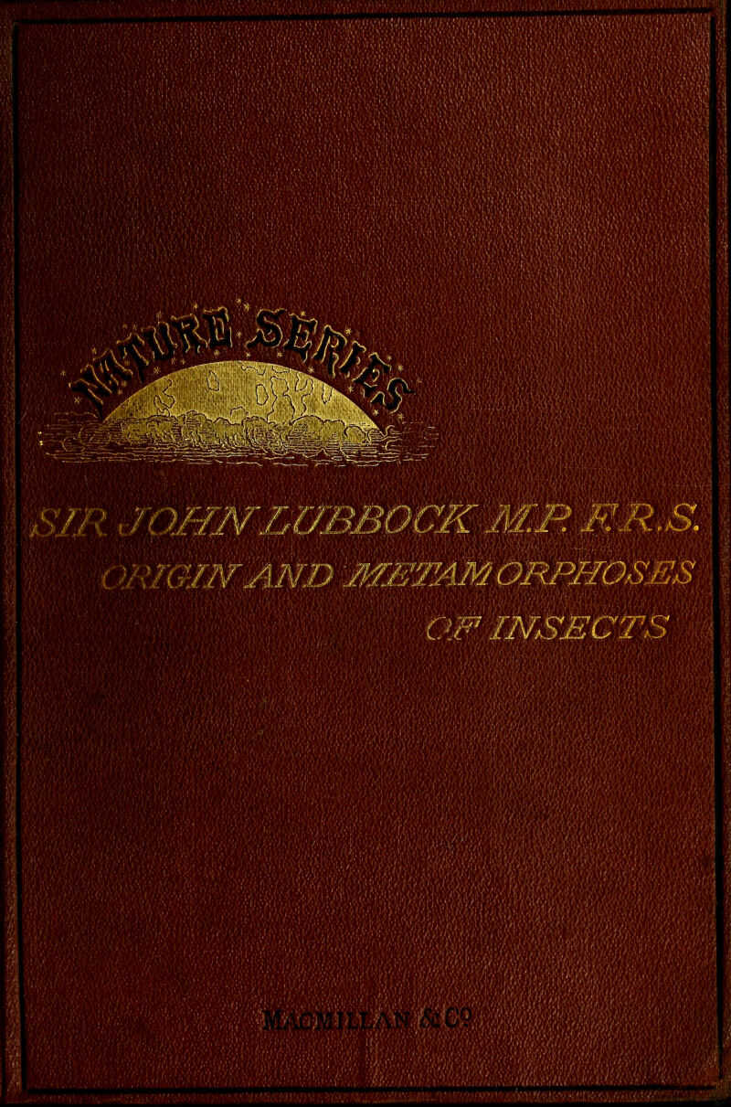 MnJOimrLUBBOCK /iU~->.RR,S. OF INSECTS