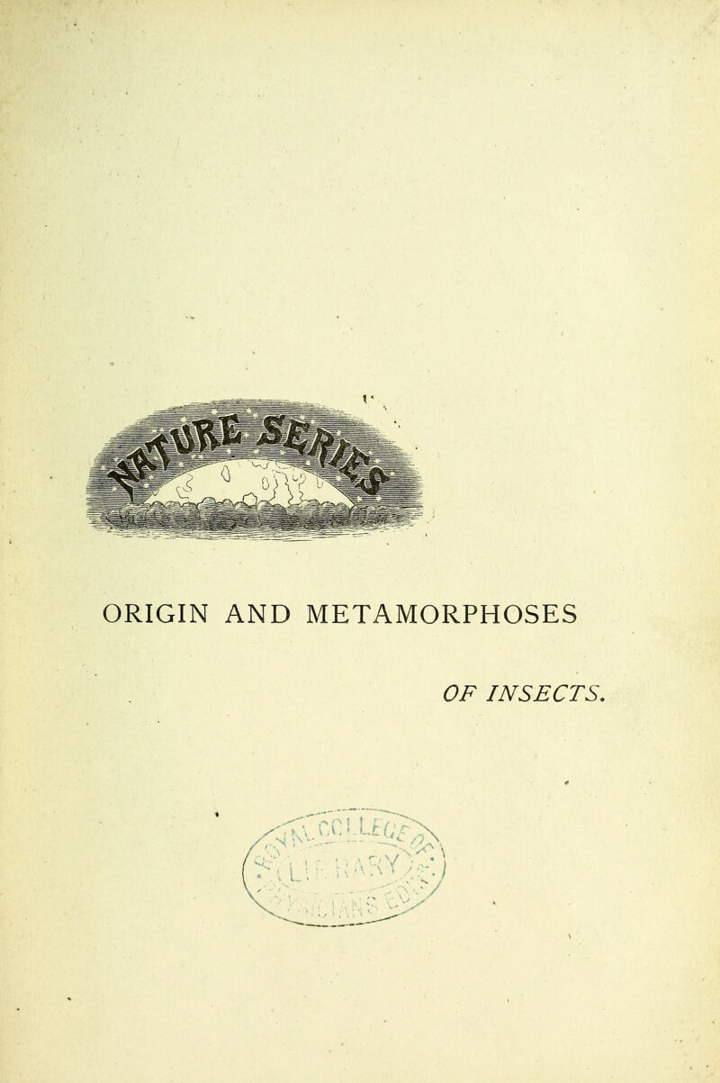 ORIGIN AND METAMORPHOSES