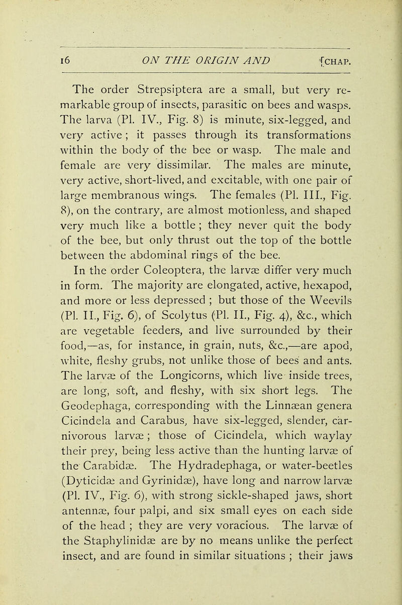 The order Strepsiptera are a small, but very re- markable group of insects, parasitic on bees and wasps. The larva (PI. IV., Fig. 8) is minute, six-legged, and very active; it passes through its transformations within the body of the bee or wasp. The male and female are very dissimilar. The males are minute, very active, short-lived, and excitable, with one pair of large membranous wings. The females (PL III., Fig. 8), on the contrary, are almost motionless, and shaped very much like a bottle ; they never quit the body of the bee, but only thrust out the top of the bottle between the abdominal rings of the bee. In the order Coleoptera, the larvae differ very much in form. The majority are elongated, active, hexapod, and more or less depressed ; but those of the Weevils (PI. II., Fig. 6), of Scolytus (PI. IL, Fig. 4), &c., which are vegetable feeders, and live surrounded by their food,—as, for instance, ifi grain, nuts, &c.,—are apod, white, fleshy grubs, not unlike those of bees and ants. The larvae of the Longicorns, which live inside trees, are long, soft, and fleshy, with six short legs. The Geodephaga, corresponding with the Linnsean genera Cicindela and Carabus, have six-legged, slender, car- nivorous larvae; those of Cicindela, which waylay their prey, being less active than the hunting larvae of the Carabidae. The Hydradephaga, or water-beetles (Dyticidae and Gyrinidae), have long and narrow larvae (PL IV., Fig. 6), with strong sickle-shaped jaws, short antennae, four palpi, and six small eyes on each side of the head ; they are very voracious. The larvae of the Staphylinidae are by no means unlike the perfect insect, and are found in similar situations ; their jaws