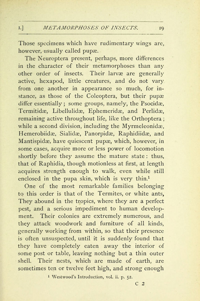 Those specimens which have rudimentary wings are, however, usually called pupae. The Neuroptera present, perhaps, more differences in the character of their metamorphoses than any other order of insects. Their larvae are generally active, hexapod, httle creatures, and do not vary from one another in appearance so much, for in- stance, as those of the Coleoptera, but their pupae differ essentially; some groups, namely, the Psocidae, Termitidae, Libellulidae, Ephemeridae, and Perlidae, remaining active throughout life, like the Orthoptera; while a second division, including the Myrmeleonidae, Hemerobiidae, Sialidae, Panorpidae, Raphidiidae, and Mantispidae, have quiescent pupae, which, however, in some cases, acquire more or less power of locomotion shortly before they assume the mature state : thus, that of Raphidia, though motionless at first, at length acquires strength enough to walk, even while still enclosed in the pupa skin, which is very thin.^ One of the most remarkable families belonging to this order is that of the Termites, or white ants, They abound in the tropics, where they are a perfect pest, and a serious impediment to human develop- ment. Their colonies are extremely numerous, and they attack woodwork and furniture of all kinds, generally working from within, so that their presence is often unsuspected, until it is suddenly found that they have completely eaten away the interior of some post or table, leaving nothing but a thin outer shell. Their nests, which are made of earth, are sometimes ten or tv/elve feet high, and strong enough 1 Westwood's Introduction, vol. ii. p. 52. C 2