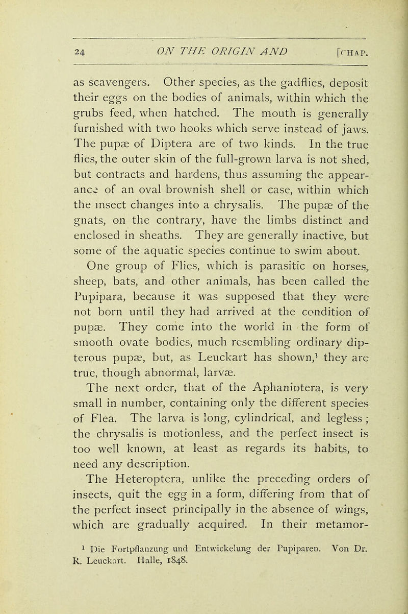 as scavengers. Other species, as the gadflies, deposit their eggs on the bodies of animals, within which the grubs feed, when hatched. The mouth is generally furnished w^ith two hooks which serve instead of jaws. The pupae of Diptera are of two kinds. In the true flies, the outer skin of the full-grown larva is not shed, but contracts and hardens, thus assuming the appear- ance of an oval brov/nish shell or case, within which the msect changes into a chrysalis. The pupae of the gnats, on the contrary, have the limbs distinct and enclosed in sheaths. They are generally inactive, but some of the aquatic species continue to swim about. One group of Flies, which is parasitic on horses, sheep, bats, and other animals, has been called the Pupipara, because it was supposed that they were not born until they had arrived at the condition of pupae. They come into the world in the form of smooth ovate bodies, much resembling ordinary dip- terous pup^, but, as Leuckart has shown,^ they are true, though abnormal, larvae. The next order, that of the Aphaniotera, is very small in number, containing only the diflerent species of Flea. The larva is long, cylindrical, and legless ; the chrysalis is motionless, and the perfect insect is too well known, at least as regards its habits, to need any description. The Heteroptera, unlike the preceding orders of insects, quit the egg in a form, difiering from that of the perfect insect principally in the absence of wings, which are gradually acquired. In their metamor- ^ Die Fortpflaiizung und Entwickelung der Pupipai-en. Von Dr. R. Leuckart. Halle, 1848.