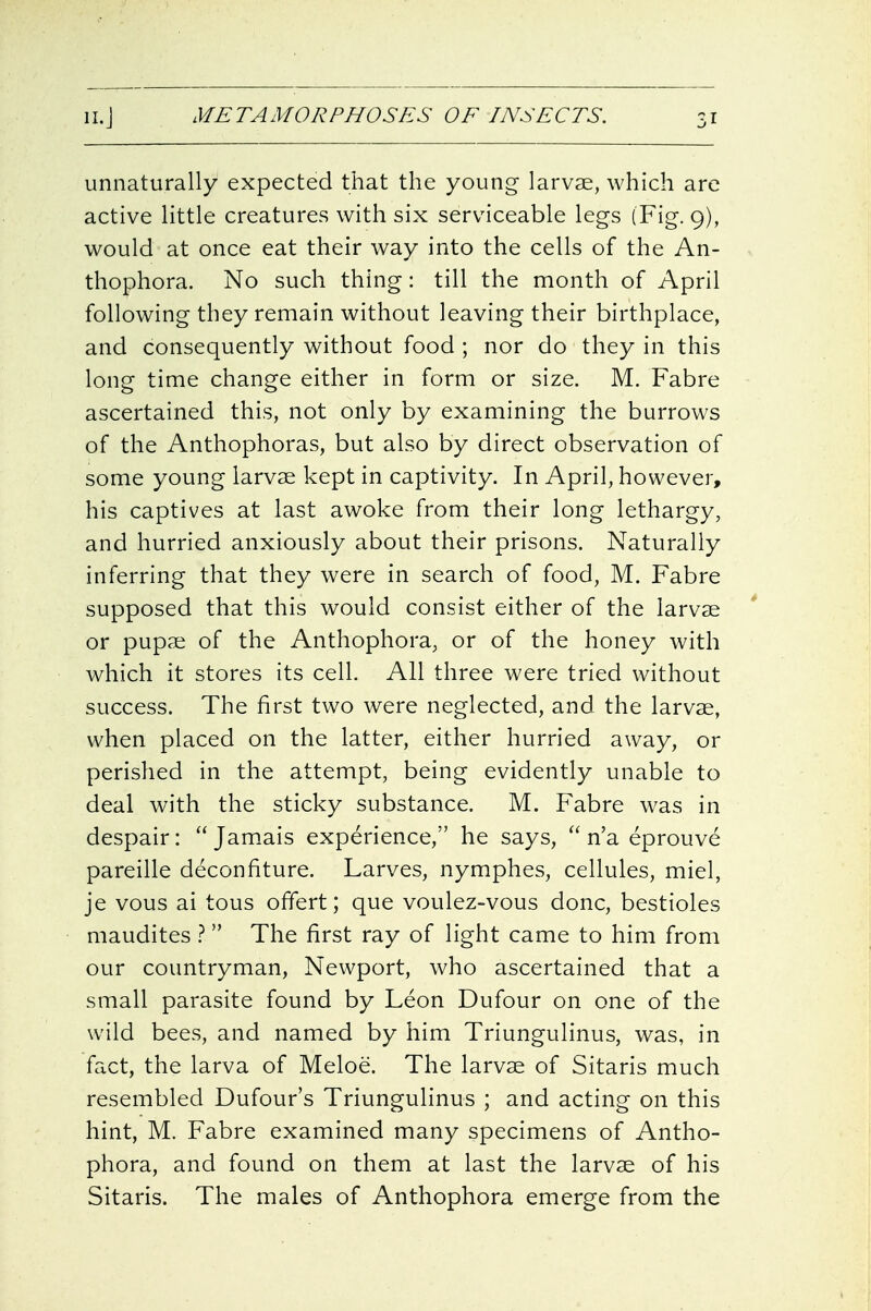 unnaturally expected that the young larvae, which arc active little creatures with six serviceable legs (Fig. 9), would at once eat their way into the cells of the An- thophora. No such thing: till the month of April following they remain without leaving their birthplace, and consequently without food ; nor do they in this long time change either in form or size. M. Fabre ascertained this, not only by examining the burrows of the Anthophoras, but also by direct observation of some young larvae kept in captivity. In April, however, his captives at last awoke from their long lethargy, and hurried anxiously about their prisons. Naturally inferring that they were in search of food, M. Fabre supposed that this would consist either of the larvae ' or pupae of the Anthophora, or of the honey with which it stores its cell. All three were tried without success. The first two were neglected, and the larvae, when placed on the latter, either hurried away, or perished in the attempt, being evidently unable to deal with the sticky substance. M. Fabre was in despair:  Jamais experience, he says,  n'a eprouve pareille deconfiture. Larves, nymphes, cellules, miel, je vous ai tous offert; que voulez-vous done, bestioles maudites } The first ray of light came to him from our countryman, Newport, who ascertained that a small parasite found by Leon Dufour on one of the wild bees, and named by him Triungulinus, was, in fact, the larva of Meloe. The larvae of Sitaris much resembled Dufour's Triungulinus ; and acting on this hint, M. Fabre examined many specimens of Antho- phora, and found on them at last the larvae of his Sitaris. The males of Anthophora emerge from the