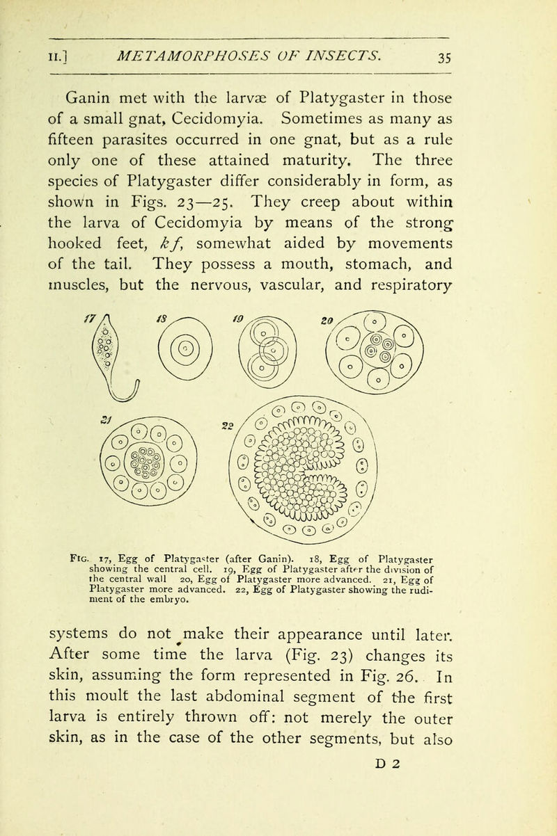 Ganin met with the larvae of Platygaster in those of a small gnat, Cecidomyia. Sometimes as many as fifteen parasites occurred in one gnat, but as a rule only one of these attained maturity. The three species of Platygaster differ considerably in form, as shown in Figs. 23—25. They creep about within the larva of Cecidomyia by means of the strong hooked feet, kf, somewhat aided by movements of the tail. They possess a mouth, stomach, and muscles, but the nervous, vascular, and respiratory Fig. 17, Egg of Platryga<;ter (after Ganin). i8, Egg of Platygaster showing the central cell. 19, Egg of Platygaster aft^r the division of the central wall 20, Egg of Platygaster more advanced. 21, Eg? of Platygaster more advanced. 22, Egg of Platygaster showing the rudi- ment of the embryo. systems do not ^make their appearance until later. After some time the larva (Fig. 23) changes its skin, assuming the form represented in Fig. 26. In this moult the last abdominal segment of the first larva is entirely thrown off: not merely the outer skin, as in the case of the other segments, but also D 2