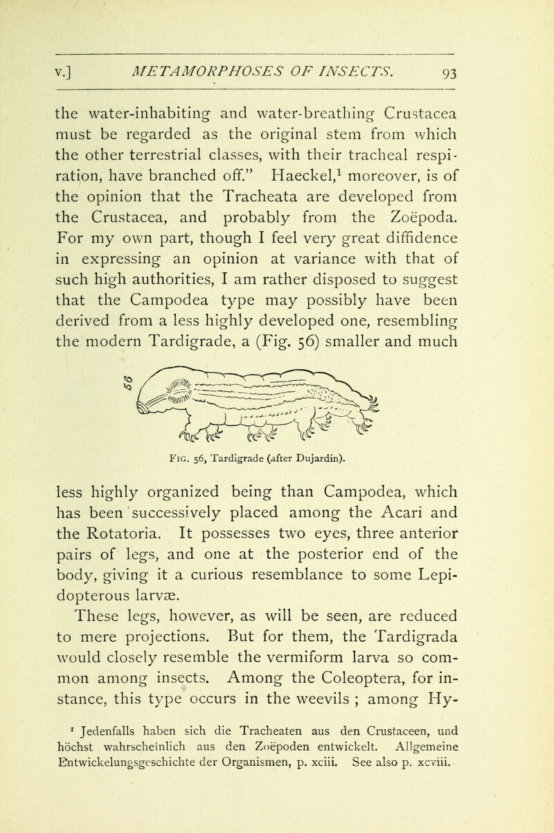 the water-inhabiting and water-breathing- Crustacea must be regarded as the original stem from which the other terrestrial classes, with their tracheal respi- ration, have branched off. HaeckeV moreover, is of the opinion that the Tracheata are developed from the Crustacea, and probably from the Zoepoda. For my own part, though I feel very great diffidence in expressing an opinion at variance with that of such high authorities, I am rather disposed to suggest that the Campodea type may possibly have been derived from a less highly developed one, resembling the modern Tardigrade, a (Fig. 56) smaller and much less highly organized being than Campodea, which has been successively placed among the Acari and the Rotatoria. It possesses two eyes, three anterior pairs of legs, and one at the posterior end of the body, giving it a curious resemblance to some Lepi- dopterous larvae. These legs, however, as will be seen, are reduced to mere projections. But for them, the Tardigrada would closely resemble the vermiform larva so com- mon among insects. Among the Coleoptera, for in- stance, this type occurs in the weevils ; among Hy- ^ Jedenfalls haben sich die Tracheaten aus den Crustacean, und hochst wahrscheinlich aus den Zoepoden entwickelt. Allgemeine Entwickelungsgeschichte der Organismen, p. xciii. See also p. xcviii. Fig. 56, Tardigrade (after Dujardin).