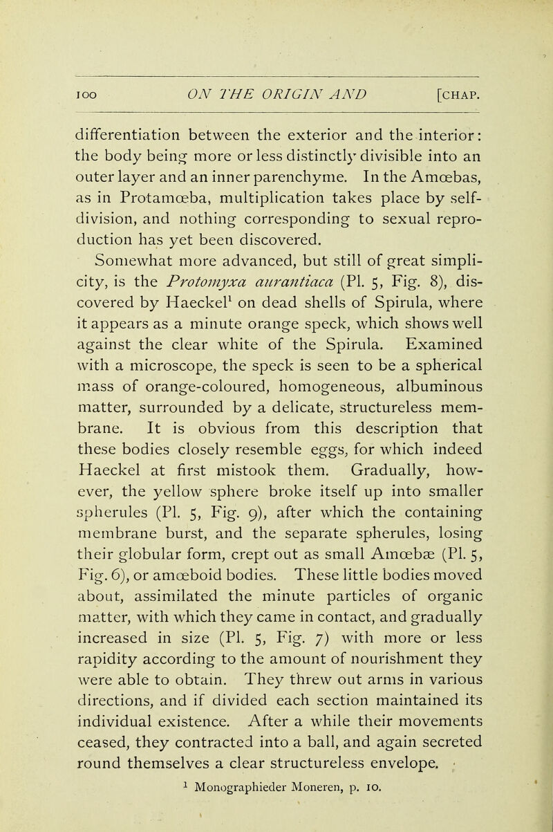 differentiation between the exterior and the interior: the body being more or less distinctly divisible into an outer layer and an inner parenchynie. In the Amoebas, as in Protamoeba, multiplication takes place by self- division, and nothing corresponding to sexual repro- duction has yet been discovered. Somewhat more advanced, but still of great simpli- city, is the Protoinyxa anrantiaca (PI. 5, Fig. 8), dis- covered by HaeckeP on dead shells of Spirula, where it appears as a minute orange speck, which shows well against the clear white of the Spirula. Examined with a microscope, the speck is seen to be a spherical niass of orange-coloured, homogeneous, albuminous matter, surrounded by a delicate, structureless mem- brane. It is obvious from this description that these bodies closely resemble eggs, for which indeed Haeckel at first mistook them. Gradually, how- ever, the yellow sphere broke itself up into smaller spherules (PI. 5, Fig. 9), after which the containing membrane burst, and the separate spherules, losing their globular form, crept out as small Amoebae (PL 5, Fig. 6), or amoeboid bodies. These little bodies moved about, assimilated the minute particles of organic matter, with which they came in contact, and gradually increased in size (PL 5, Fig. 7) with more or less rapidity according to the amount of nourishment they were able to obtain. They threw out arms in various directions, and if divided each section maintained its individual existence. After a while their movements ceased, they contracted into a ball, and again secreted round themselves a clear structureless envelope. • ^ Monographieder Moneren, p. 10.