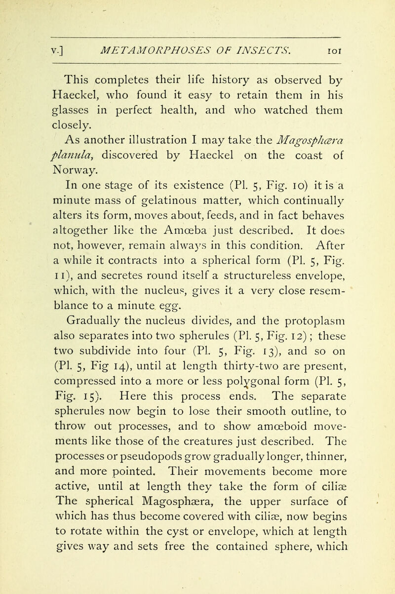 This completes their life history as observed by Haeckel, who found it easy to retain them in his glasses in perfect health, and who watched them closely. As another illustration I may take the MagospJicera plamda, discovered by Haeckel on the coast of Norway. In one stage of its existence (PL 5, Fig. 10) it is a minute mass of gelatinous matter, which continually alters its form, moves about, feeds, and in fact behaves altogether like the Amoeba just described. It does not, however, rem.ain alwa5^s in this condition. After a while it contracts into a spherical form (PI. 5, Fig. 11), and secretes round itself a structureless envelope, which, with the nucleus, gives it a very close resem- blance to a minute egg. Gradually the nucleus divides, and the protoplasm also separates into two spherules (PI. 5, Fig. 12); these two subdivide into four (PL 5, Fig. 13), and so on (PL 5, Fig 14), until at length thirty-two are present, compressed into a more or less polygonal form (PL 5, Fig, 15). Here this process ends. The separate spherules now begin to lose their smooth outline, to throw out processes, and to show amoeboid move- ments like those of the creatures just described. The processes or pseudopods grow gradually longer, thinner, and more pointed. Their movements become more active, until at length they take the form of cilise The spherical Magosphsera, the upper surface of which has thus become covered with cilise, now begins to rotate within the cyst or envelope, which at length gives way and sets free the contained sphere, which