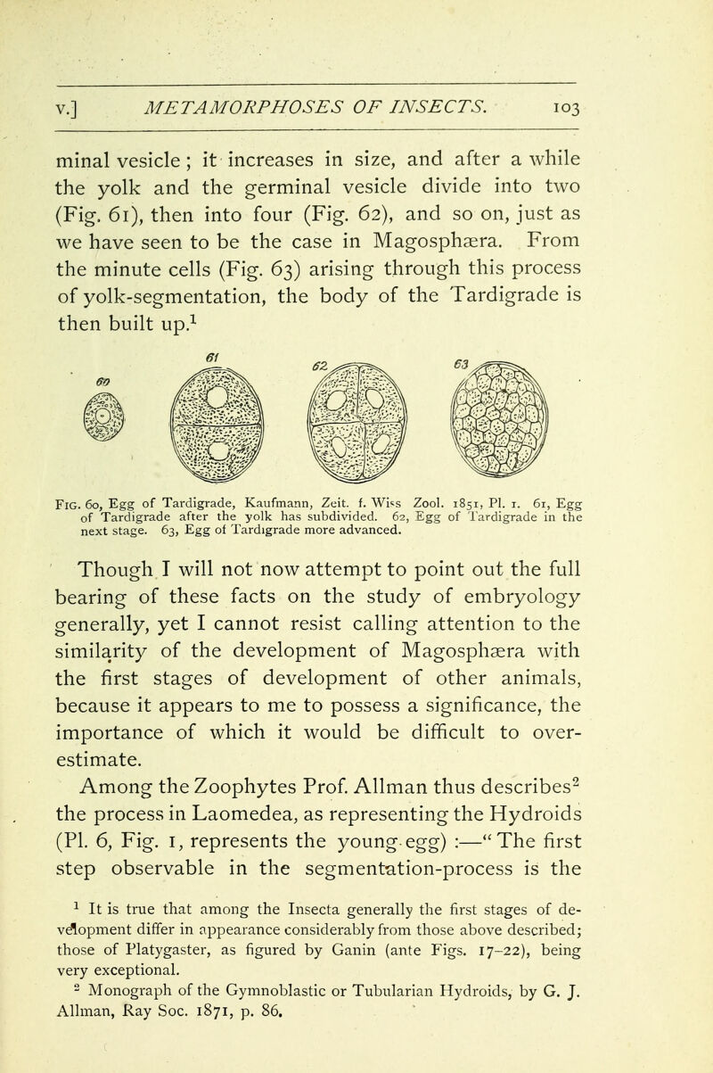 minal vesicle; it increases in size, and after awhile the yolk and the germinal vesicle divide into two (Fig. 61), then into four (Fig. 62), and so on, just as we have seen to be the case in Magosphsera. From the minute cells (Fig. 63) arising through this process of yolk-segmentation, the body of the Tardigrade is then built up.-- Fig. 60, Egg of Tardigrade, Kaufmann, Zeit. f. Whs Zool. 1851, PI. i. 61, Egg of Tardigrade after the yolk has subdivided. 62, Egg of Tardigrade in the next stage. 63, Egg of Tardigrade more advanced. Though T will not now attempt to point out the full bearing of these facts on the study of embryology generally, yet I cannot resist calling attention to the similarity of the development of Magosphaera with the first stages of development of other animals, because it appears to me to possess a significance, the importance of which it would be difficult to over- estimate. Among the Zoophytes Prof. Allman thus describes^ the process in Laomedea, as representing the Hydroids (PI. 6, Fig. I, represents the young-egg) :—The first step observable in the segmentation-process is the 1 It is true that among the Insecta generally the first stages of de- velopment differ in appearance considerably from those above described; those of Platygaster, as figured by Ganin (ante Figs. 17-22), being very exceptional.  Monograph of the Gymnoblastic or Tubularian Hydroids, by G. J. Allman, Ray Soc. 1871, p. 86.