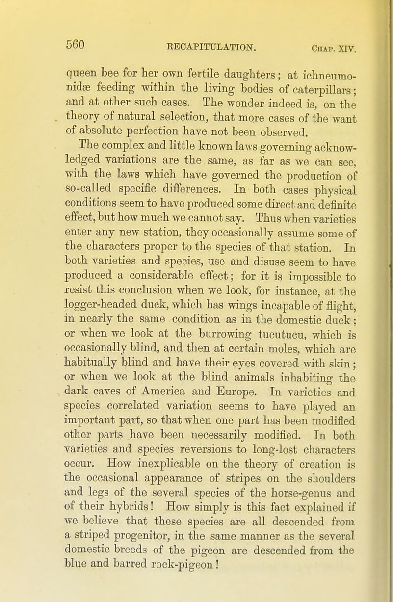 queen bee for her own fertile daughters; at ichneumo- nidte feeding within the living bodies of caterpillars; and at other such cases. The wonder indeed is, on the theory of natural selection, that more eases of the want of absolute perfection have not been observed. The complex and little known laws governing acknow- ledged variations are the same, as far as we can see, with the laws which have governed the production of so-called specific differences. In both cases physical conditions seem to have produced some direct and definite effect, but how much we cannot say. Thus when varieties enter any new station, they occasionally assume some of the characters proper to the species of that station. In both varieties and species, use and disuse seem to have produced a considerable efiect; for it is impossible to resist this conclusion when we look, for instance, at the logger-headed duck, which has wings incapable of flight, in nearly the same condition as in the domestic duck; or when we look at the burrowing tucutucu, which is occasionally blind, and then at certain moles, which are habitually blind and have their eyes covered with skin; or when we look at the blind animals inhabiting the dark caves of America and Europe. In varieties and species correlated variation seems to have played an important part, so that when one part has been modified other parts have been necessarily modified. In both varieties and species reversions to long-lost characters occur. How inexplicable on the theory of creation is the occasional appearance of stripes on the shoulders and legs of the several species of the horse-genus and of their hybrids! How simply is this fact explained if we believe that these species are all descended from a striped progenitor, in the same manner as the several domestic breeds of the pigeon are descended from the blue and barred rock-pigeon!