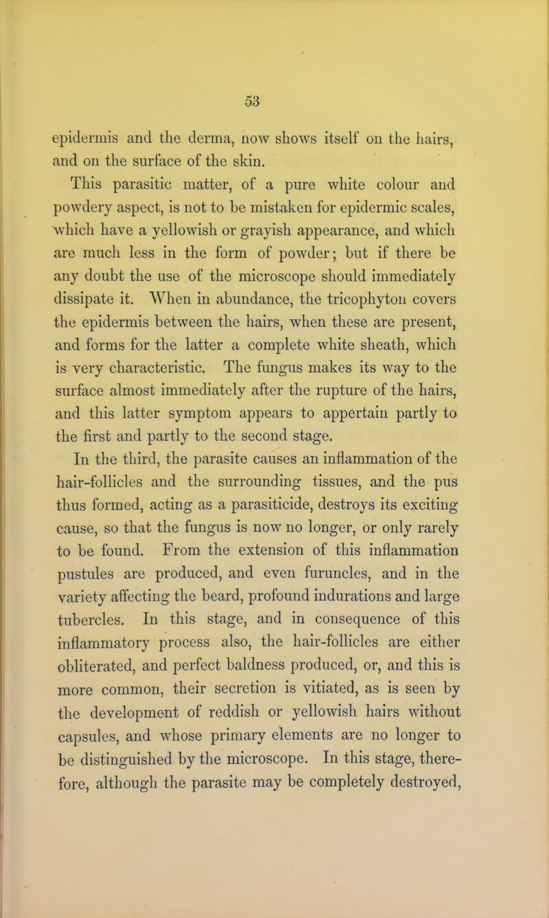epidermis and the derma, now shows itself on the hairs, and on the surface of the skin. This parasitic matter, of a pure white colour and powdery aspect, is not to be mistaken for epidermic scales, which have a yellowish or grayish appearance, and which are much less in the form of powder; but if there be any doubt the use of the microscope should immediately dissipate it. When in abundance, the tricophyton covers the epidermis between the hairs, when these are present, and forms for the latter a complete white sheath, which is very characteristic. The fungus makes its way to the surface almost immediately after the rupture of the hairs, and this latter symptom appears to appertain partly to the first and partly to the second stage. In the third, the parasite causes an inflammation of the hair-follicles and the surrounding tissues, and the pus thus formed, acting as a parasiticide, destroys its exciting cause, so that the fungus is now no longer, or only rarely to be found. From the extension of this inflammation pustules are produced, and even furuncles, and in the variety affecting the beard, profound indurations and large tubercles. In this stage, and in consequence of this inflammatory process also, the hair-follicles are either obliterated, and perfect baldness produced, or, and this is more common, their secretion is vitiated, as is seen by the development of reddish or yellowish hairs without capsules, and whose primary elements are no longer to be distinguished by the microscope. In this stage, there- fore, although the parasite may be completely destroyed,