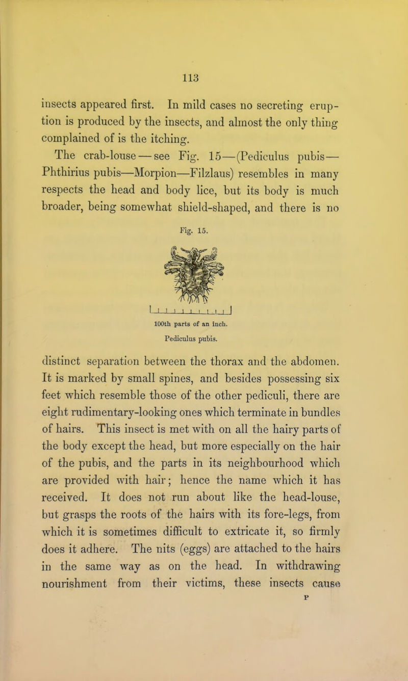 insects appeared first. In mild cases no secreting erup- tion is produced by the insects, and almost the only thing complained of is the itching. The crab-louse — see Fig. 15—(Pediculus pubis— Phthirius pubis—Morpion—Filzlaus) resembles in many respects the head and body lice, but its body is much broader, being somewhat shield-shaped, and there is no Fig. 15. 1 -1 ■ 1 t i i i i i i | 100th parts of an inch. Pediculus pubis. distinct separation between the thorax and the abdomen. It is marked by small spines, and besides possessing six feet which resemble those of the other pediculi, there are eight rudimentary-looking ones which terminate in bundles of hairs. This insect is met with on all the hairy parts of the body except the head, but more especially on the hair of the pubis, and the parts in its neighbourhood which are provided with hair; hence the name which it has received. It does not run about like the head-louse, but grasps the roots of the hairs with its fore-legs, from which it is sometimes difficult to extricate it, so firmly does it adhere. The nits (eggs) are attached to the hairs in the same way as on the head. In withdrawing nourishment from their victims, these insects cause p