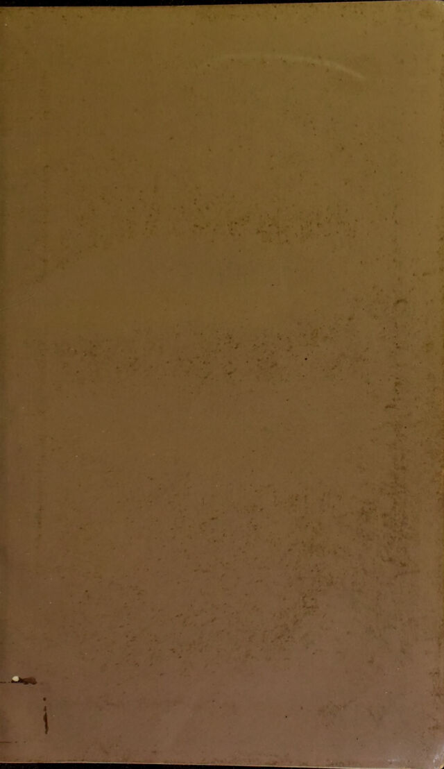 digitised image 3