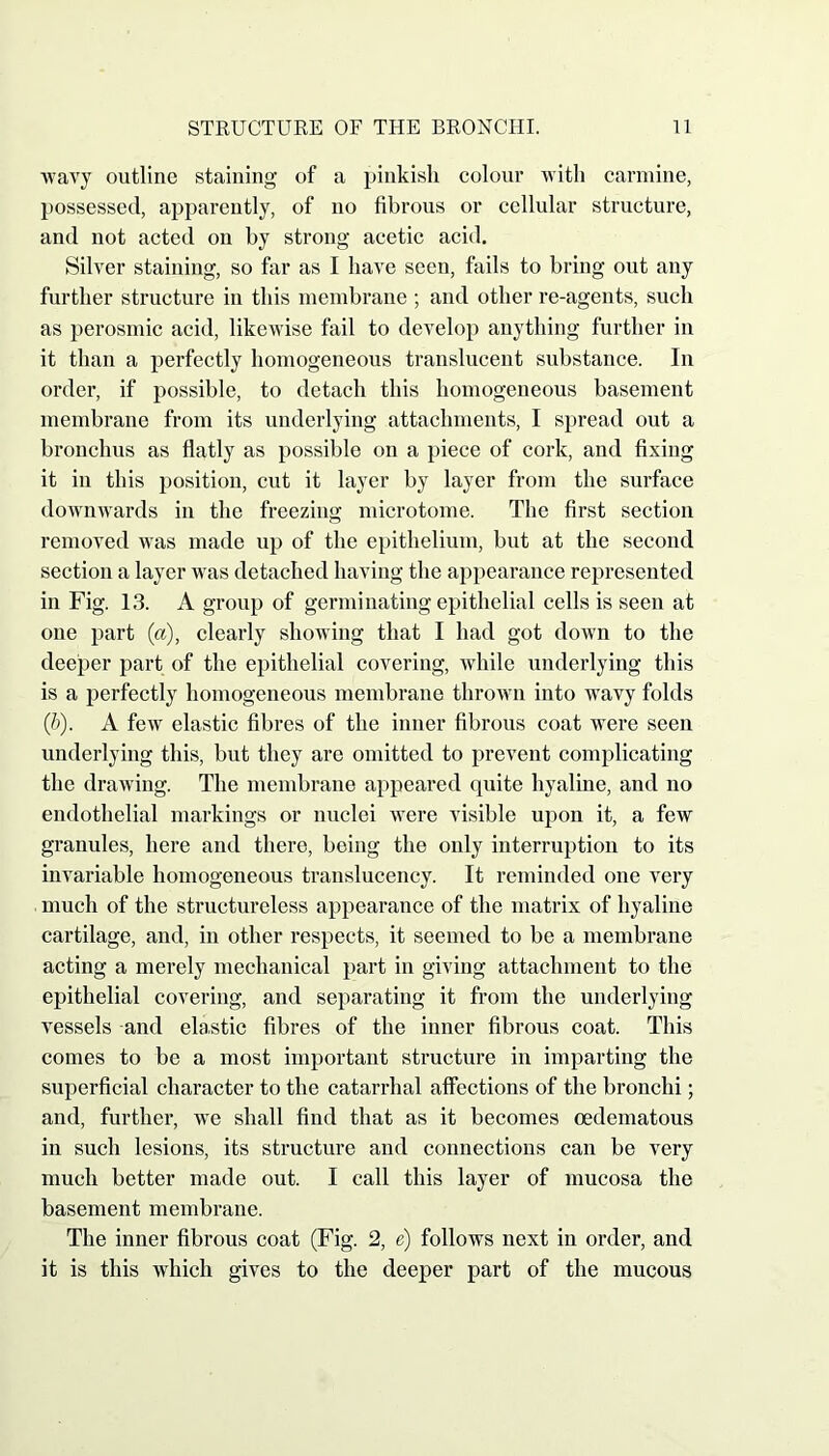 wavy outline staining of a pinkish colour with carmine, possessed, apparently, of no fibrous or cellular structure, and not acted on by strong acetic acid. Silver staining, so far as I have seen, fails to bring out any further structure in this membrane ; and other re-agents, such as perosmic acid, likewise fail to develop anything further in it than a perfectly homogeneous translucent substance. In order, if possible, to detach this homogeneous basement membrane from its underlying attachments, I spread out a bronchus as flatly as possible on a piece of cork, and fixing it in this position, cut it layer by layer from the surface downwards in the freezing microtome. The first section removed was made up of the epithelium, but at the second section a layer was detached having the appearance represented in Fig. 13. A group of germinating epithelial cells is seen at one part («), clearly showing that I had got down to the deeper part of the epithelial covering, while underlying this is a perfectly homogeneous membrane thrown into wavy folds (5). A few elastic fibres of the inner fibrous coat were seen underlying this, but they are omitted to prevent complicating the drawing. The membrane appeared quite hyaline, and no endothelial markings or nuclei were visible upon it, a few granules, here and there, being the only interruption to its invariable homogeneous translucency. It reminded one very much of the structureless appearance of the matrix of hyaline cartilage, and, in other respects, it seemed to be a membrane acting a merely mechanical part in giving attachment to the epithelial covering, and separating it from the underlying vessels and elastic fibres of the inner fibrous coat. This comes to be a most important structure in imparting the superficial character to the catarrhal affections of the bronchi; and, further, we shall find that as it becomes oedematous in such lesions, its structure and connections can be very much better made out. I call this layer of mucosa the basement membrane. The inner fibrous coat (Fig. 2, e) follows next in order, and it is this which gives to the deeper part of the mucous
