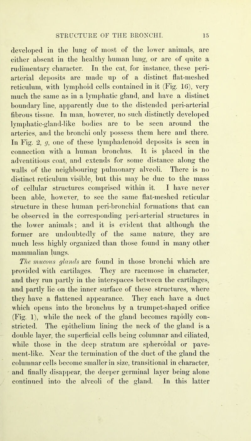 developed in the lung of most of the lower animals, are either absent in the healthy human lung, or are of quite a rudimentary character. In the cat, for instance, these peri- arterial deposits are made up of a distinct flat-meshed reticulum, with lymphoid cells contained in it (Fig. 1G), very much the same as in a lymphatic gland, and have a distinct boundary line, apparently due to the distended peri-arterial fibrous tissue. In man, however, no such distinctly developed lymphatic-gland-like bodies are to be seen around the arteries, and the bronchi only possess them here and there. In Fig. 2, g, one of these lymphadenoid deposits is seen in connection with a human bronchus. It is placed in the adventitious coat, and extends for some distance along the walls of the neighbouring pulmonary alveoli. There is no distinct reticulum visible, but this may be due to the mass of cellular structures comprised within it. I have never been able, however, to see the same flat-meshed reticular structure in these human peri-bronchial formations that can be observed in the corresponding peri-arterial structures in the lower animals; and it is evident that although the former are undoubtedly of the same nature, they are much less highly organized than those found in many other mammalian lungs. The mucous glands are found in those bronchi which are provided witli cartilages. They are racemose in character, and they run partly in the interspaces between the cartilages, and partly lie on the inner surface of these structures, where they have a flattened appearance. They each have a duct which opens into the bronchus by a trumpet-shaped orifice (Fig. 1), while the neck of the gland becomes rapidly con- stricted. The epithelium lining the neck of the gland is a double layer, the superficial cells being columnar and ciliated, while those in the deep stratum are spheroidal or pave- ment-like. Near the termination of the duct of the gland the columnar cells become smaller in size, transitional in character, and finally disappear, the deeper germinal layer being alone continued into the alveoli of the gland. In this latter