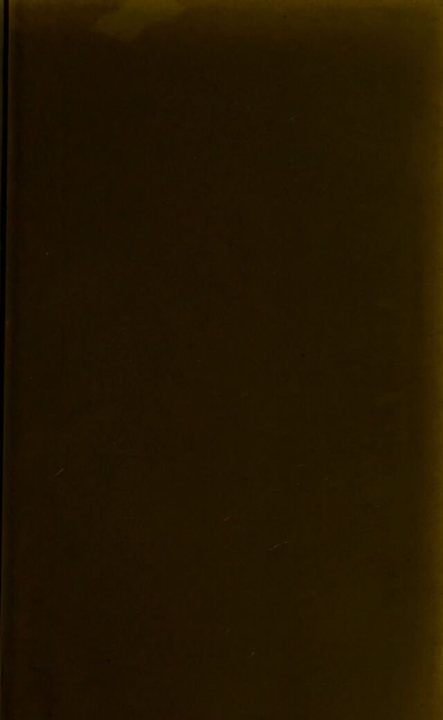 digitised image 3