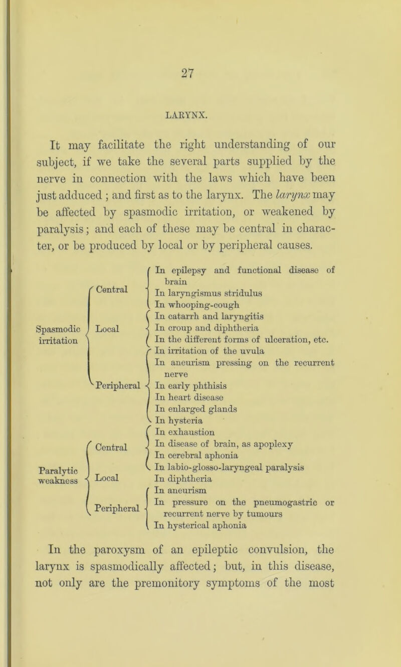 LARYNX. It may facilitate the right understanding of our subject, if we take the several parts supplied by the nerve in connection with the laws which have been just adduced ; and first as to the larynx. The larynx may he affected by spasmodic irritation, or weakened by paralysis; and each of these may be central in charac- ter, or be produced by local or by peripheral causes. Spasmodic irritation Paralytic weakness ( Central Local ^ Peripheral Central Local Peripheral ’ In epilepsy and functional disease of brain In laryngismus stridulus . In whooping-cough f In catarrh and laryngitis 1 In croup and diphtheria / In the different forms of ulceration, etc. !In irritation of the uvula In aneurism pressing on the recurrent nerve In early phthisis In heart disease In enlarged glands In hysteria C In exhaustion ) In disease of brain, as apoplexy I In cerebral aphonia v In labio-glosso-laryngeal paralysis In diphtheria (In aneurism In pressure on the pneumogastric or recurrent nerve by tumours In hysterical aphonia In the paroxysm of an epileptic convulsion, the larynx is spasmodically affected; but, in this disease, not only are the premonitory symptoms of the most