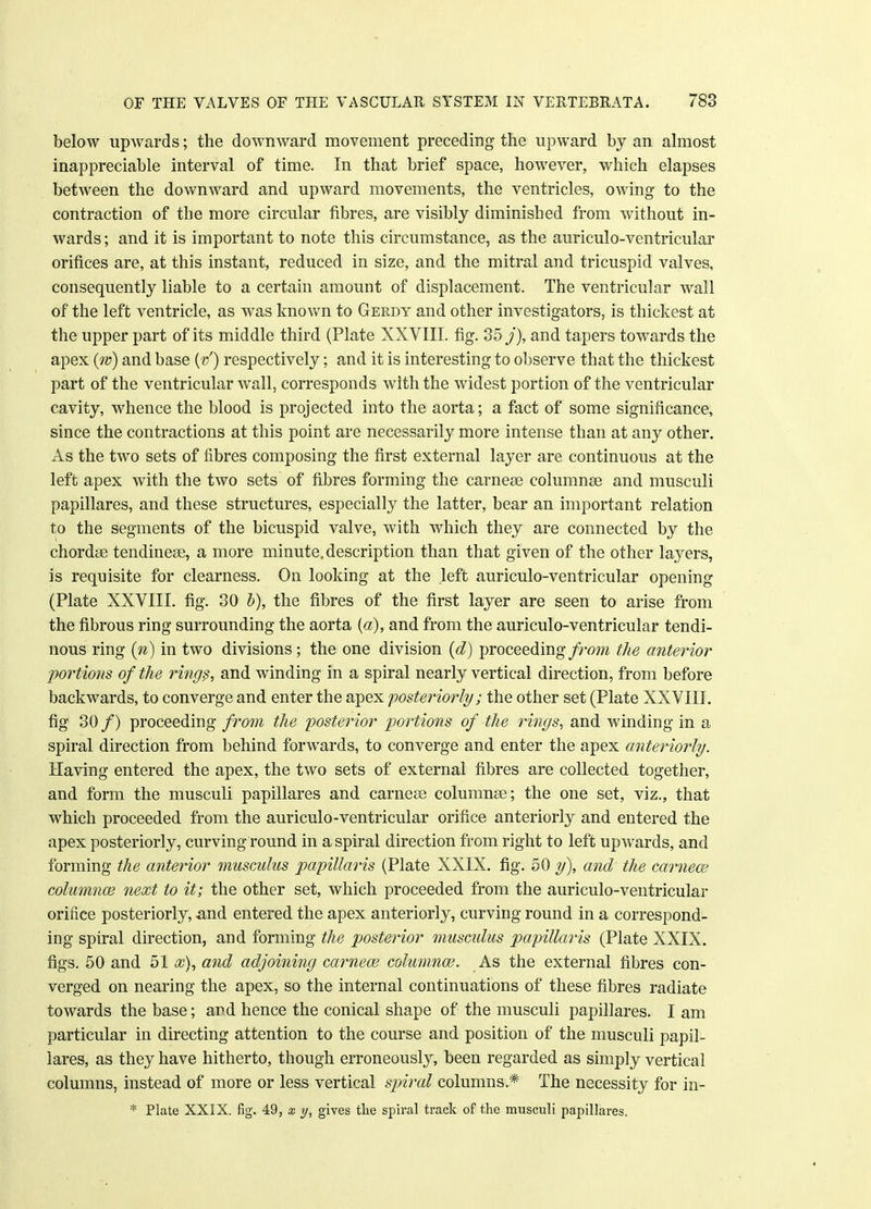 below upwards; the downward movement preceding the upward by an almost inappreciable interval of time. In that brief space, however, which elapses between the downward and upward movements, the ventricles, owing to the contraction of the more circular fibres, are visibly diminished from without in- wards ; and it is important to note this circumstance, as the auriculo-ventricular orifices are, at this instant, reduced in size, and the mitral and tricuspid valves, consequently liable to a certain amount of displacement. The ventricular wall of the left ventricle, as was known to Gerdy and other investigators, is thickest at the upper part of its middle third (Plate XXVIII. fig. 35/), and tapers towards the apex (w) and base (v') respectively; and it is interesting to observe that the thickest part of the ventricular wall, corresponds with the widest portion of the ventricular cavity, whence the blood is projected into the aorta; a fact of some significance, since the contractions at this point are necessarily more intense than at any other. As the two sets of fibres composing the first external layer are continuous at the left apex with the two sets of fibres forming the carnese columnse and musculi papillares, and these structures, especially the latter, bear an important relation to the segments of the bicuspid valve, with which they are connected by the chordae tendinese, a more minute, description than that given of the other layers, is requisite for clearness. On looking at the left auriculo-ventricular opening (Plate XXVIII. fig. 30 b), the fibres of the first layer are seen to arise from the fibrous ring surrounding the aorta {a), and from the auriculo-ventricular tendi- nous ring (n) in two divisions; the one division (d) proceeding from the anterior portions of the rings, and winding in a spiral nearly vertical direction, from before backwards, to converge and enter the apex posteriorly; the other set (Plate XXVIII. fig 30 /) proceeding from the posterior portions of the rings, and winding in a spiral direction from behind forwards, to converge and enter the apex anteriorly. Having entered the apex, the two sets of external fibres are collected together, and form the musculi papillares and carnese columnse; the one set, viz., that which proceeded from the auriculo-ventricular orifice anteriorly and entered the apex posteriorly, curving round in a spiral direction from right to left upwards, and forming the anterior musculus papillaris (Plate XXIX. fig. 50 y), and the carnew columnce next to it; the other set, which proceeded from the auriculo-ventricular orifice posteriorly, and entered the apex anteriorly, curving round in a correspond- ing spiral direction, and forming the posterior muscidus papillaris (Plate XXIX. figs. 50 and 51 x), and adjoining carnew columnce. As the external fibres con- verged on nearing the apex, so the internal continuations of these fibres radiate towards the base; and hence the conical shape of the musculi papillares. I am particular in directing attention to the course and position of the musculi papil- lares, as they have hitherto, though erroneously, been regarded as simply vertical columns, instead of more or less vertical spiral columns* The necessity for in- * Plate XXIX. fig. 49, x y, gives the spiral track of the musculi papillares.