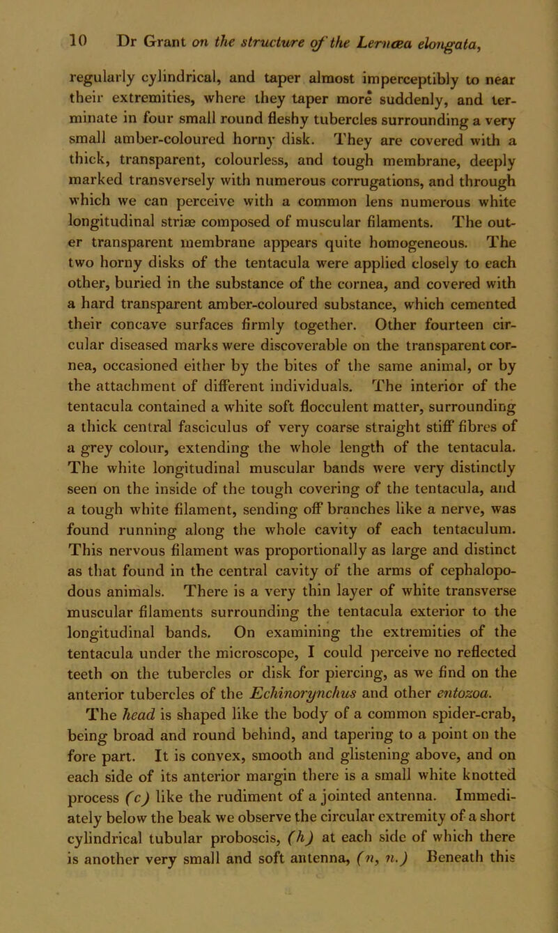regularly cylindrical, and taper almost imperceptibly to near their extremities, where they taper more suddenly, and ter- minate in four small round fleshy tubercles surrounding a very small amber-coloured horny disk. They are covered with a thick, transparent, colourless, and tough membrane, deeply marked transversely with numerous corrugations, and through which we can perceive with a common lens numerous white longitudinal striae composed of muscular filaments. The out- er transparent membrane appears quite homogeneous. The two horny disks of the tentacula were applied closely to each other, buried in the substance of the cornea, and covered with a hard transparent amber-coloured substance, which cemented their concave surfaces firmly together. Other fourteen cir- cular diseased marks were discoverable on the transparent cor- nea, occasioned either by the bites of the same animal, or by the attachment of different individuals. The interior of the tentacula contained a white soft flocculent matter, surrounding a thick central fasciculus of very coarse straight stiff* fibres of a grey colour, extending the whole length of the tentacula. The white longitudinal muscular bands were very distinctly seen on the inside of the tough covering of the tentacula, and a tough white filament, sending off branches like a nerve, was found running along the whole cavity of each tentaculum. This nervous filament was proportionally as large and distinct as that found in the central cavity of the arms of cephalopo- dous animals. There is a very thin layer of white transverse muscular filaments surrounding the tentacula exterior to the longitudinal bands. On examining the extremities of the tentacula under the microscope, I could perceive no reflected teeth on the tubercles or disk for piercing, as we find on the anterior tubercles of the Echinorynchus and other entozoa. The head is shaped like the body of a common spider-crab, being broad and round behind, and tapering to a point on the fore part. It is convex, smooth and glistening above, and on each side of its anterior margin there is a small white knotted process (c) like the rudiment of a jointed antenna. Immedi- ately below the beak we observe the circular extremity of a short cylindrical tubular proboscis, (h) at each side of which there is another very small and soft antenna, (n, n,) Beneath this