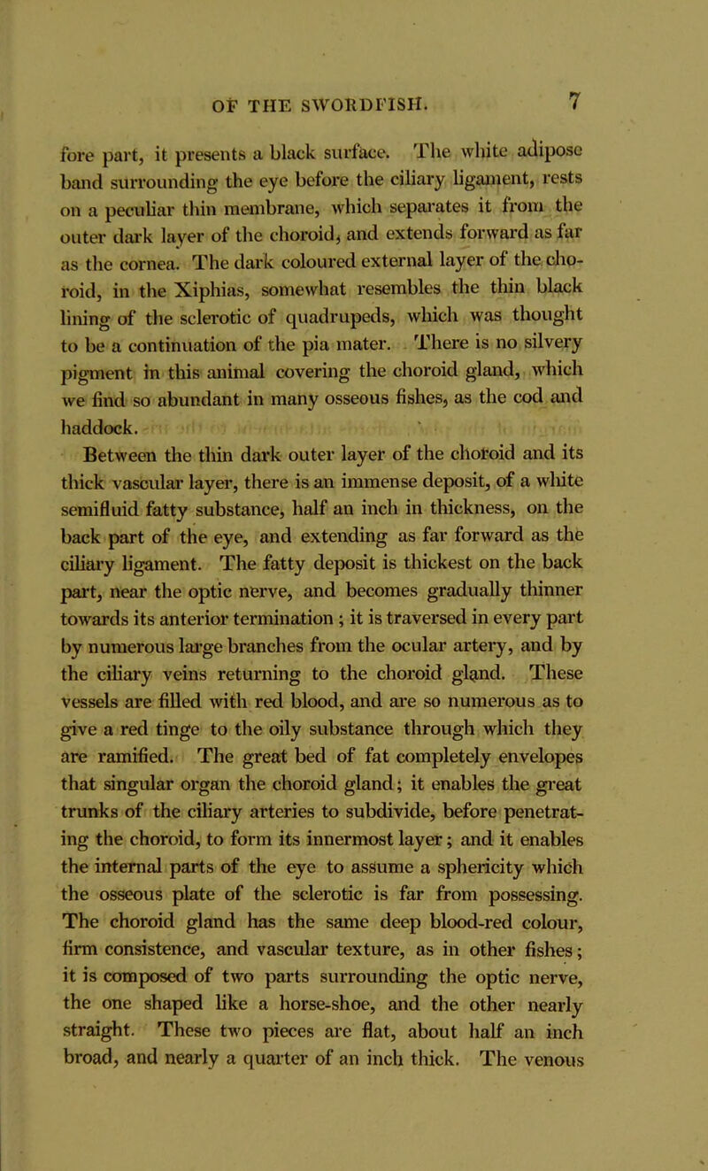 fore part, it presents a black surface. The white adipose band surrounding the eye before the ciliary ligament, rests on a peculiar thin membrane, which separates it from the outer dark layer of the choroid, and extends forward as far as the cornea. The dark coloured external layer of the cho- roid, in the Xiphias, somesvhat resembles the thin black lining of the sclerotic of quadrupeds, which was thought to be a continuation of the pia mater. There is no silvery pigment in this animal covering the choroid gland, which we find so abundant in many osseous fishes, as the cod and haddock. Between the thin dark outer layer of the choroid and its thick vascular layer, there is an immense deposit, of a wliite semifluid fatty substance, half an inch in thickness, on the back part of the eye, and extending as far forward as the ciliary ligament. The fatty deposit is thickest on the back part, near the optic nerve, and becomes gradually thinner towards its anterior termination ; it is traversed in every part by numerous large branches from the ocular artery, and by the ciliary veins returning to the choroid gland. These vessels are filled with red blood, and are so numerous as to give a red tinge to the oily substance through which they are ramified. The great bed of fat completely envelopes that singular organ the choroid gland; it enables the great trunks of the ciliary arteries to subdivide, before penetrat- ing the choroid, to form its innermost layer; and it enables the internal parts of the eye to assume a sphericity which the osseous plate of the sclerotic is far from possessing. The choroid gland has the same deep blood-red colour, firm consistence, and vascular texture, as in other fishes; it is composed of two parts surrounding the optic nerve, the one shaped like a horse-shoe, and the other nearly straight. These two pieces are flat, about half an inch broad, and nearly a quarter of an inch thick. The venous