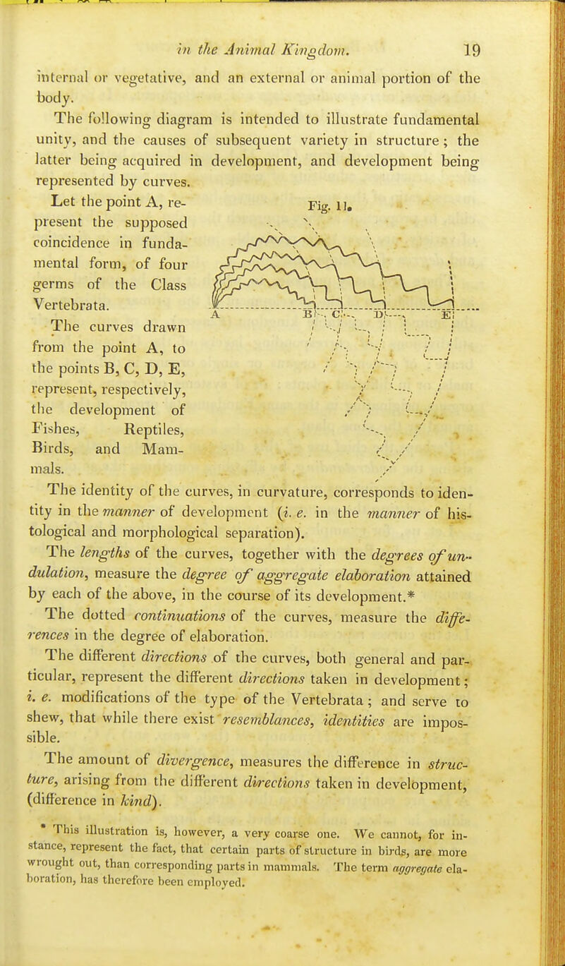 internal or vegetative, and an external or animal portion of the body. The following diagram is intended to illustrate fundamental unity, and the causes of subsequent variety in structure; the latter being acquired in development, and development being represented by curves. Let the point A, re- Fig. i], present the supposed coincidence in funda- mental form, of four germs of the Class Vertebrata. The curves drawn from the point A, to ' /-.• ''-j , / / the points B, C, D, E, Z f'} / represent, respectively, ' ' the development of / V Fishes, Reptiles, Birds, and Mam- /' ,/' mals. The identity of the curves, in curvature, corresponds to iden- tity in the manner of development {i. e. in the manner of his- tological and morphological separation). The lengths of the curves, together with the degrees of un- dulation, measure the degree of' aggregate elaboration attained by each of the above, in the course of its development.* The dotted continuations of the curves, measure the diffe- rences in the degree of elaboration. The different directions of the curves, both general and par- ticular, represent the different directions taken in development; i. e. modifications of the type of the Vertebrata; and serve ro shew, that while there exist resemblances, identities are impos- sible. The amount of divergence, measures the difference in struc- ture, arising from the different directions taken in development, (difference in kind).  This illustration is, however, a very coarse one. We cannot, for in- stance, represent the fact, that certain parts of structure in birds, are more wrought out, than con-esponding parts in mammals. The term aggregate ela- boration, has therefore been employed.