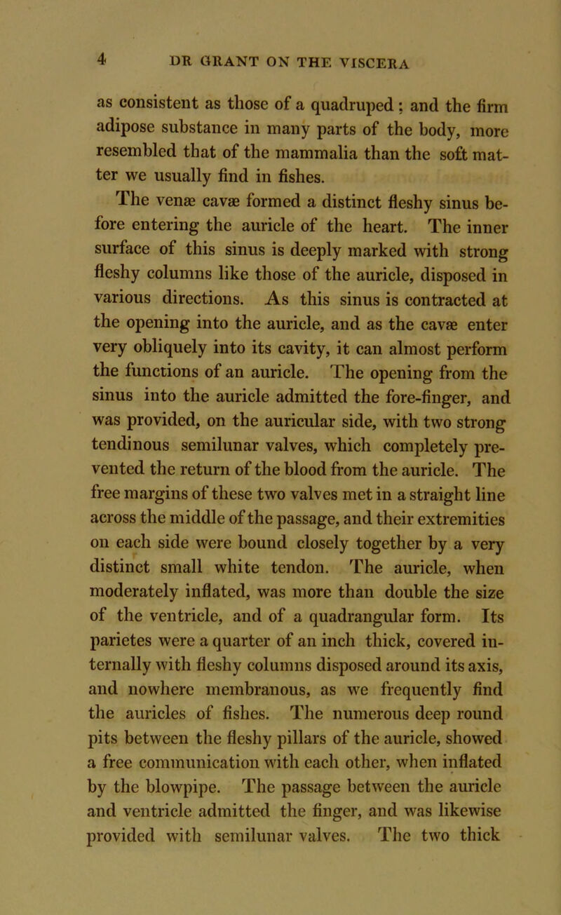 as consistent as those of a quadruped; and the firm adipose substance in many parts of the body, more resembled that of the mammalia than the soft mat- ter we usually find in fishes. The venae cavae formed a distinct fleshy sinus be- fore entering the auricle of the heart. The inner surface of this sinus is deeply marked with strong fleshy columns like those of the auricle, disposed in various directions. As this sinus is contracted at the opening into the auricle, and as the cavae enter very obliquely into its cavity, it can almost perform the functions of an auricle. The opening from the sinus into the auricle admitted the fore-finger, and was provided, on the auricular side, with two strong tendinous semilunar valves, which completely pre- vented the return of the blood from the auricle. The free margins of these two valves met in a straight line across the middle of the passage, and their extremities on each side were bound closely together by a very distinct small white tendon. The auricle, when moderately inflated, was more than double the size of the ventricle, and of a quadrangular form. Its parietes were a quarter of an inch thick, covered in- ternally with fleshy columns disposed around its axis, and nowhere membranous, as we frequently find the auricles of fishes. The numerous deep round pits between the fleshy pillars of the auricle, showed a free communication with each other, when inflated by the blowpipe. The passage between the auricle and ventricle admitted the finger, and was likewise provided with semilunar valves. The two thick