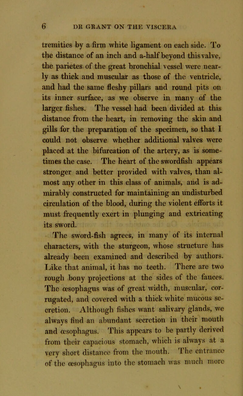 tremities by a firm white ligament on each side. To the distance of an inch and a-half beyond this valve, the parietes of the great bronchial vessel were near- ly as thick and muscular as those of the ventricle, and had the same fleshy pillars and round pits on its inner surface, as we observe in many of the larger fishes. The vessel had been divided at this distance from the heart, in removing the skin and gills for the preparation of the specimen, so that I could not observe whether additional valves were placed at the bifurcation of the artery, as is some- times the case. The heart of the swordfish appears stronger and better provided with valves, than al- most any other in this class of animals, and is ad- mirably constructed for maintaining an undisturbed circulation of the blood, during the violent efforts it must frequently exert in plunging and extricating its sword. The sword-fish agrees, in many of its internal characters, with the sturgeon, whose structure has already been examined and described by authors. Liike that animal, it has no teeth. There are two rough bony projections at the sides of the fauces. The oesophagus was of great width, muscular, cor- rugated, and covered with a thick white mucous se- cretion. Although fishes want salivary glands, we always find an abundant secretion in their mouth and oesophagus. This appears to be partly derived from their capacious stomach, which is alwrays at a very short distance from the mouth. 1 he entrance of the oesophagus into the stomach was much more