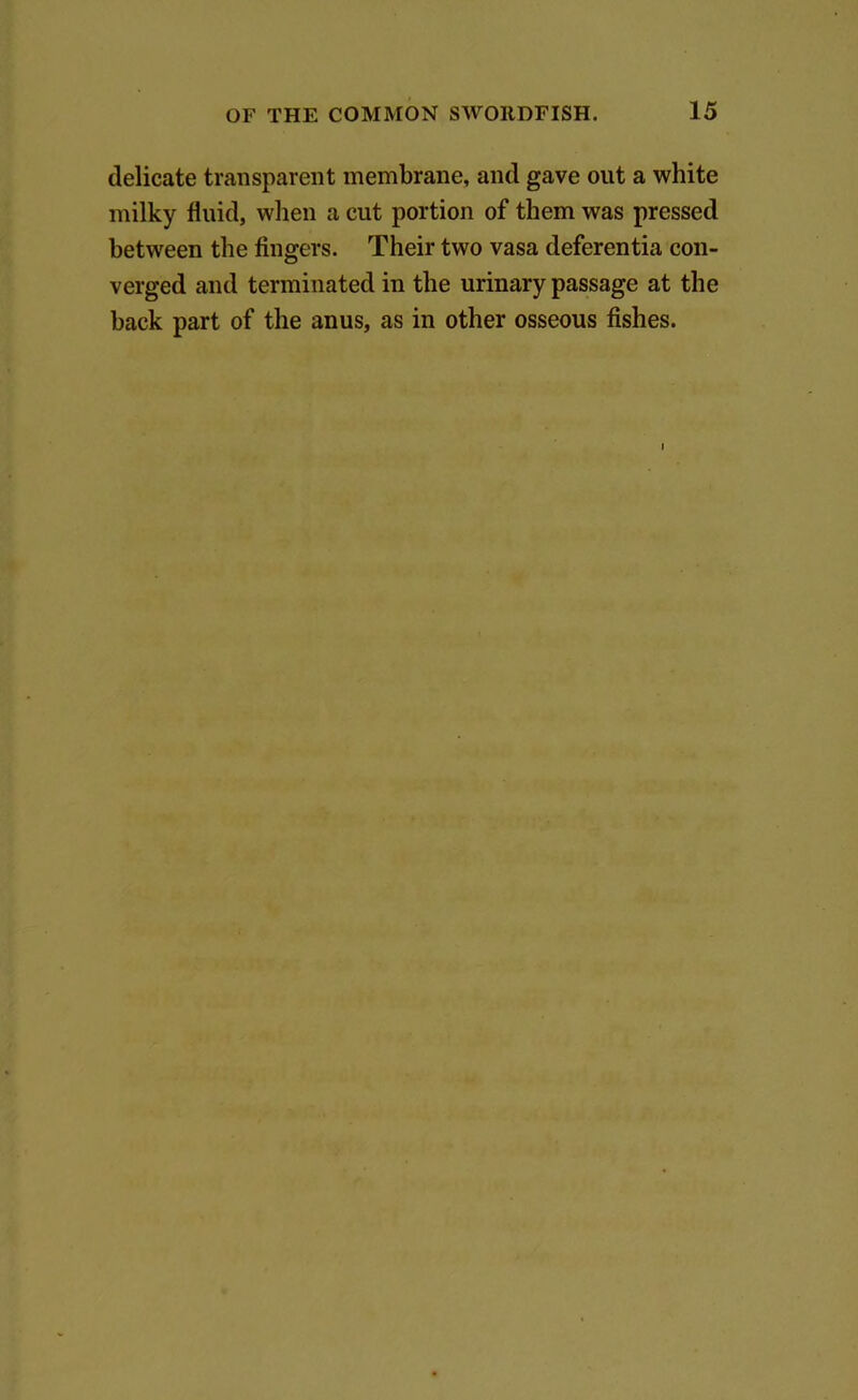 delicate transparent membrane, and gave out a white milky fluid, when a cut portion of them was pressed between the fingers. Their two vasa deferentia con- verged and terminated in the urinary passage at the back part of the anus, as in other osseous fishes.