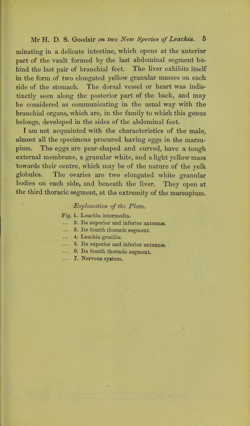 ruinating in a delicate intestine, which opens at the anterior part of the vault formed by the last abdominal segment be- hind the last pair of branchial feet. The liver exhibits itself in the form of two elongated yellow granular masses on each side of the stomach. The dorsal vessel or heart was indis- tinctly seen along the posterior part of the back, and may be considered as communicating in the usual way with the branchial organs, which are, in the family to which this genus belongs, developed in the sides of the abdominal feet. I am not acquainted with the characteristics of the male, almost all the specimens procured having eggs in the marsu- pium. The eggs are pear-shaped and curved, have a tough external membrane, a granular white, and a light yellow mass towards their centre, which may be of the nature of the yelk globules. The ovaries are two elongated white granular bodies on each side, and beneath the liver. They open at the third thoracic segment, at the extremity of the marsupium. Explanation of the Plate. Fig. 1. Leachia intermedia. ... 2. Its superior and inferior antennas. ... 3. Its fourth thoracic segment. ... 4. Leachia gracilis. -. • 5. Its superior and inferior antennae. ... 6. Its fourth thoracic segment. ... 7. Nervous system.