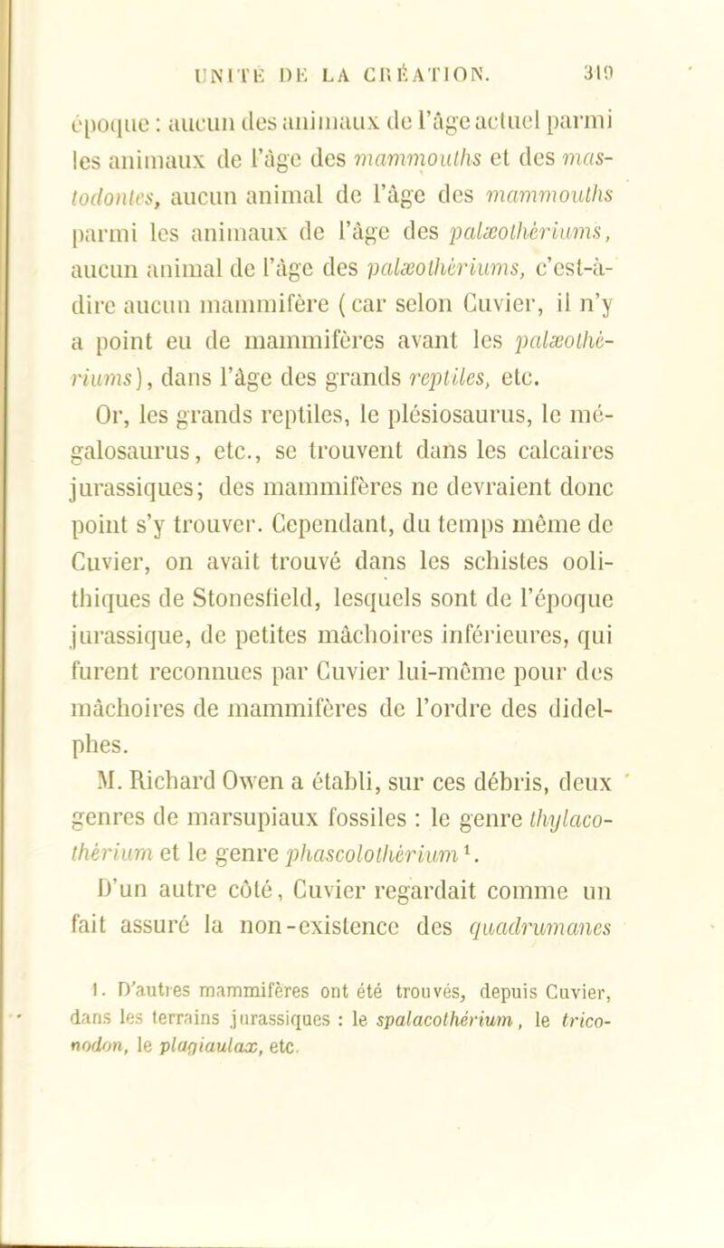 Opo(iiie : aucun des aniiuaux de l'âge actuel parmi les animaux de l'âge des mammouths et des mas- loclonlcs, aucun animal de l'âge des mammouths parmi les animaux de l'âge des palssolhèr'mms, aucun animal de l'âge des palxothèriums, c'est-à- dire aucun mammifère ( car selon Guvier, il n'y a point eu de mammifères avant les palxothé- riurns), dans l'âge des grands reptiles, etc. Or, les grands reptiles, le plésiosaurus, le mé- galosaurus, etc., se trouvent dans les calcaires jurassiques; des mammifères ne devraient donc point s'y trouver. Cependant, du temps même de Cuvier, on avait trouvé dans les schistes ooli- thiques de Stonestield, lesquels sont de l'époque jurassique, de petites mâchoires inférieures, qui furent reconnues par Cuvier lui-même pour des mâchoires de mammifères de l'ordre des didel- phes. M. Richard Owen a établi, sur ces débris, deux ' genres de marsupiaux fossiles : le genre thylaco- thérium et le genre j)}iascolothérium^. D'un autre côté, Cuvier regardait comme un fait assuré la non-existence des qmdrumanes 1. D'autres mainmifères ont été trouvés, depuis Cuvier, dans les terrains jurassiques : le spalacolhérium, le t^-ico- nodrm, le pla{)iaulax, etc.
