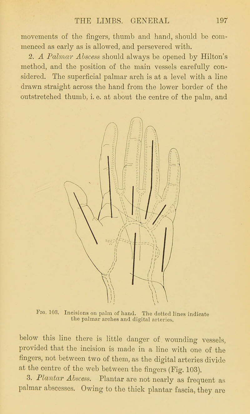 movements of the fingers, thumb and hand, should be com- menced as early as is allowed, and persevered with. 2. A Palmar Abscess should always be opened by Hilton’s method, and the position of the main vessels carefully con- sidered. The superficial palmar arch is at a level with a line drawn straight across the hand from the lower border of the outstretched thumb, i. e. at about the centre of the palm, and Fig. 103. Incisions on palm of hand. The dotted lines indicate the palmar arches and digital arteries. below this line there is little danger of wounding vessels, provided that the incision is made in a line with one of the fingers, not between two of them, as the digital arteries divide at the centre of the web between the fingers (Fig. 103). 3. Plantar Abscess. Plantar are not nearly as frequent as palmar abscesses. Owing to the thick plantar fascia, they are