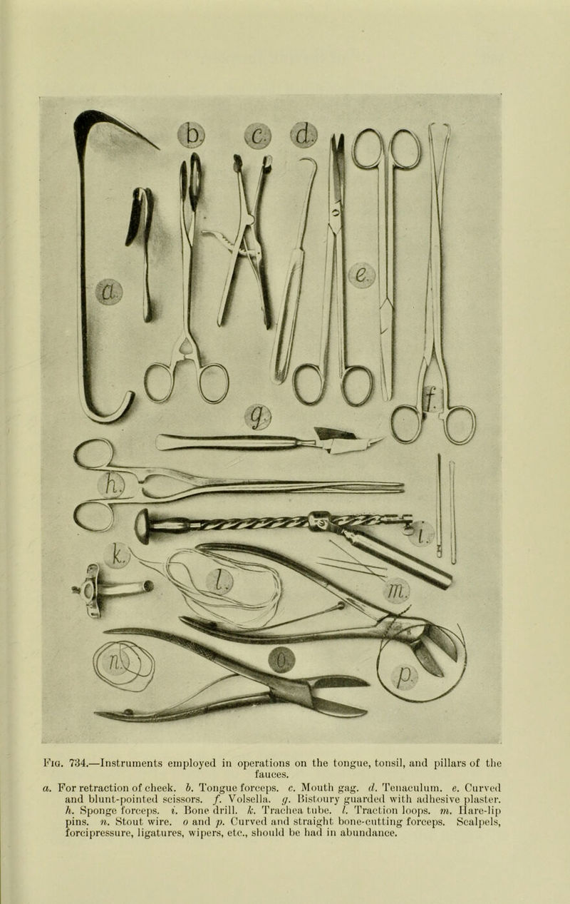 Kig. 784.—Instruments employed in operations on the tongue, tonsil, and pillars of the fauces. a. For retraction of cheek, h. Tongue force{)S. c. Mouth gag. d. Tenaculum, e. Curved and blunt-pointed scissors. /. Volsella. g. Hisl-oury guarded with adhesive plaster. h. Sponge forcef)S. i. Bone drill, k. Trachea tube. 1. Traction loo|)S. m. Ilare-lip pins. n. Stout wire, o and p. Curved and straight bone-cutting forceps. Scal})els, forcipressure, ligatures, wi{>ers, etc., should be had in abundance.