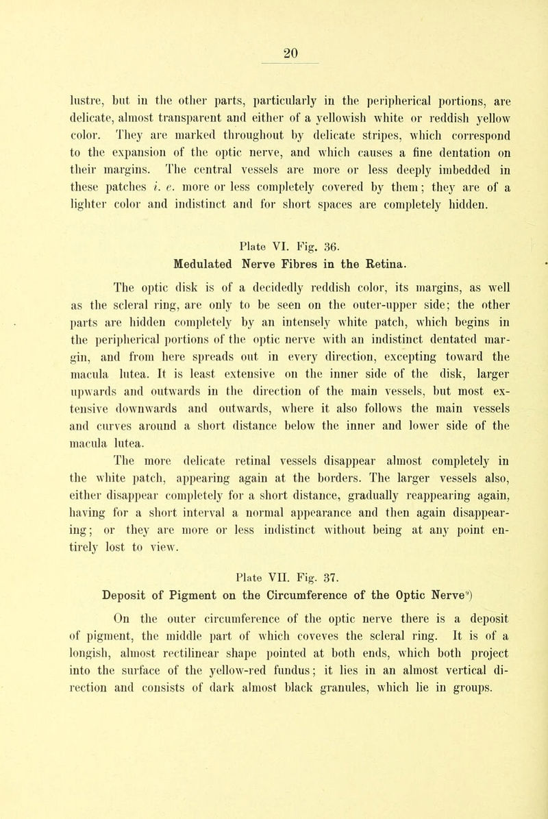 lustre, but in the other parts, particularly in the peripherical portions, are delicate, almost transparent and either of a yellowish white or reddish yellow color. They are marked throughout by delicate stripes, which correspond to the expansion of the optic nerve, and which causes a fine dentation on their margins. The central vessels are more or less deeply imbedded in these patches i. e. more or less completely covered by them; they are of a lighter color and indistinct and for short spaces are completely hidden. Plate VI. Fig. 36. Medulated Nerve Fibres in the Retina. The optic disk is of a decidedly reddish color, its margins, as well as the scleral ring, are only to be seen on the outer-upper side; the other parts are hidden completely by an intensely white patch, which begins in the peripherical portions of the optic nerve with an indistinct dentated mar- gin, and from here spreads out in every direction, excepting toward the macula lutea. It is least extensive on the inner side of the disk, larger upwards and outwards in the direction of the main vessels, but most ex- tensive downwards and outwards, where it also follows the main vessels and curves around a short distance below the inner and lower side of the macula lutea. The more delicate retinal vessels disappear almost completely in the white patch, appearing again at the borders. The larger vessels also, either disappear completely for a short distance, gradually reappearing again, having for a short interval a normal appearance and then again disappear- ing; or they are more or less indistinct without being at any point en- tirely lost to view. Plate VII. Fig. 37. Deposit of Pigment on the Circumference of the Optic Nerve9) On the outer circumference of the optic nerve there is a deposit of pigment, the middle part of which coveves the scleral ring. It is of a longish, almost rectilinear shape pointed at both ends, which both project into the surface of the yellow-red fundus; it lies in an almost vertical di- rection and consists of dark almost black granules, which lie in groups.