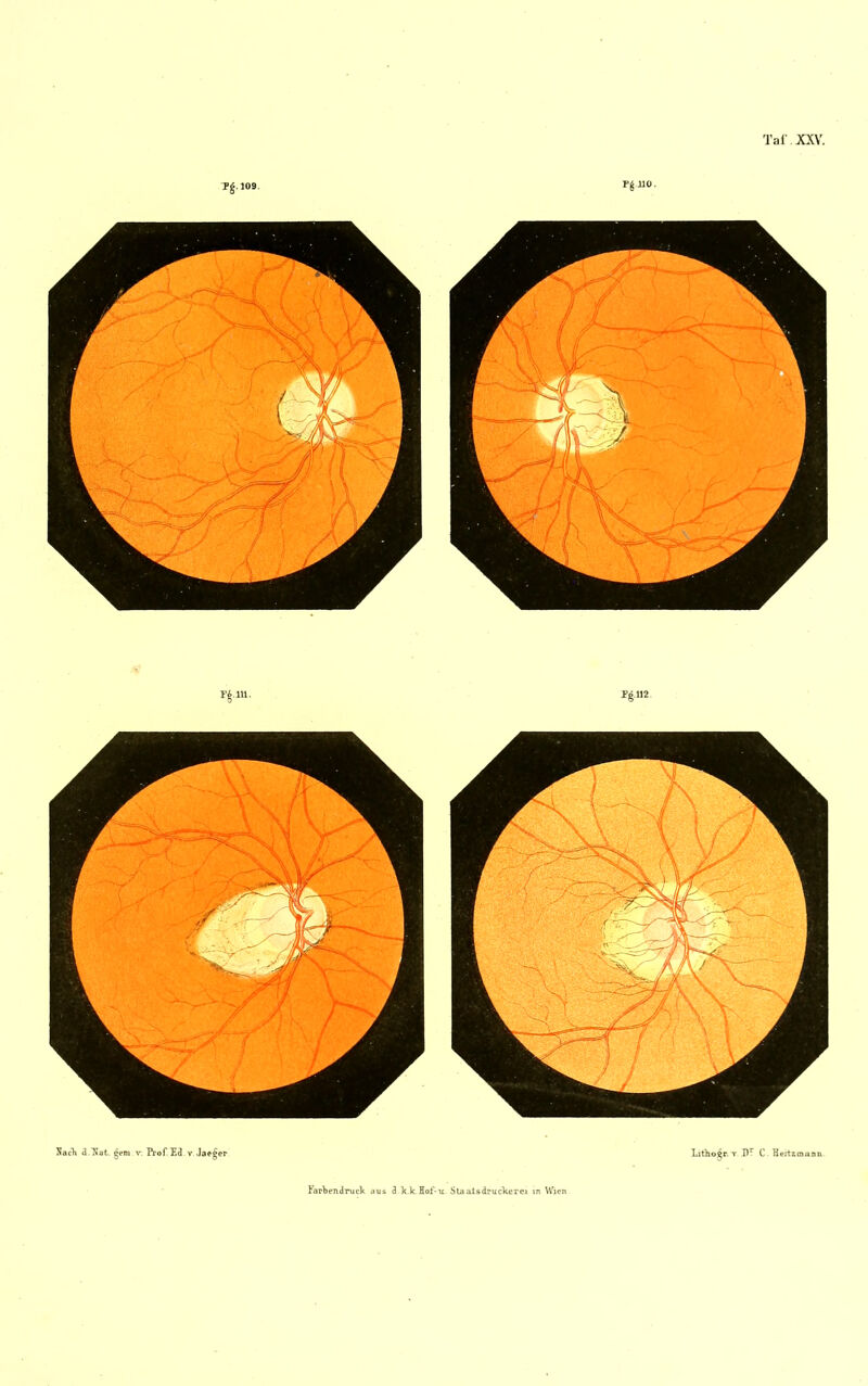 Tg. 109. Fg.110. Tai' XXV. NacTi i Not. gern v Prof Ed v Jaeger Lltlio^r. T dl? C. Hertzmaan