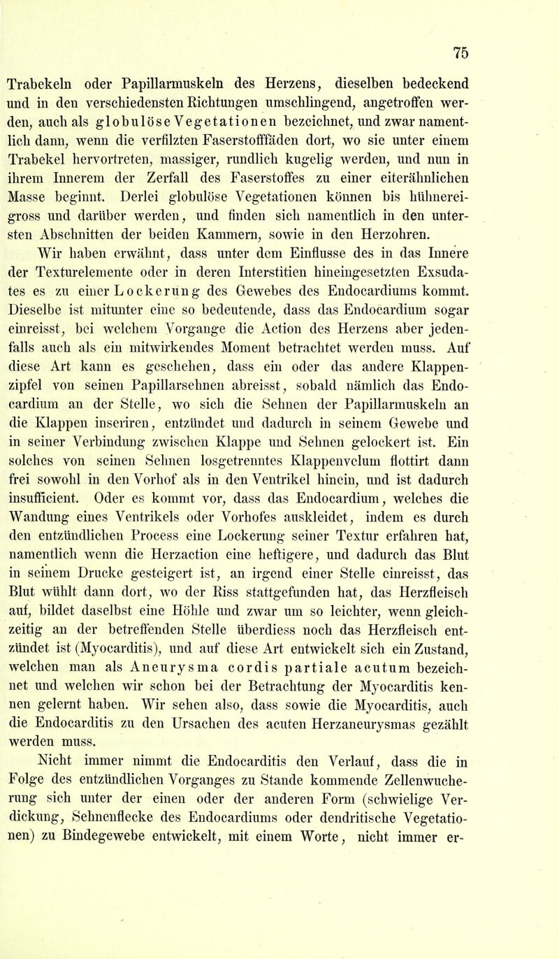 Trabekeln oder Papillarmuskeln des Herzens, dieselben bedeckend und in den verschiedensten Richtungen umschlingend, angetroffen wer- den, auch als globulöseVegetationen bezeichnet, und zwar nament- lich dann, wenn die verfilzten Faserstofffäden dort, wo sie unter einem Trabekel hervortreten, massiger, nmdlich kugelig werden, und nun in ihrem Innerem der Zerfall des Faserstoffes zu einer eiterähnlichen Masse beginnt. Derlei globulöse Vegetationen können bis hlilmei-ei- gross und darüber werden, und finden sich namentlich in den unter- sten Abschnitten der beiden Kammern, sowie in den Herzohren, Wir haben erwähnt, dass unter dem Einflüsse des in das Innere der Texturelemente oder in deren Interstitien hineiugesetzten Exsuda- tes es zu einer Lockerung des Gewebes des Endocardiums kommt. Dieselbe ist mitunter eine so bedeutende, dass das Endocardium sogar einreisst, bei welchem Vorgange die Action des Herzens aber jeden- falls auch als ein mitwirkendes Moment betrachtet werden muss. Auf diese Art kann es geschehen, dass ein oder das andere Klappen- zipfel von seinen Papillarsehnen abreisst, sobald nämlich das Endo- cardium an der Stelle, wo sich die Sehnen der Papillarmuskeln an die Klappen inseriren, entzündet und dadurch in seinem Gewebe und in seiner Verbindung zwischen Klappe und Sehnen gelockert ist. Ein solches von seinen Seimen losgetrenntes Klappenvclum flottirt dann frei sowohl in den Vorhof als in den Ventrikel hinein, und ist dadurch insufficient. Oder es kommt vor, dass das Endocardium, welches die Wandung eines Ventrikels oder Vorhofes auskleidet, indem es durch den entzündlichen Process eine Lockerung seiner Textur erfahren hat, namentlich wenn die Herzaction eine heftigere, und dadurch das Blut in seinem Drucke gesteigert ist, an irgend einer Stelle einreisst, das Blut wühlt dann dort, wo der Riss stattgefunden hat, das Herzfleisch auf, bildet daselbst eine Höhle und zwar um so leichter, wenn gleich- zeitig an der betreflenden Stelle überdiess noch das Herzfleisch ent- zündet ist (Myocarditis), und auf diese Art entwickelt sich ein Zustand, welchen man als Aneurysma cordis partiale acutum bezeich- net und welchen wir schon bei der Betrachtung der Myocarditis ken- nen gelernt haben. Wir sehen also, dass sowie die Myocarditis, auch die Endocarditis zu den Ursachen des acuten Herzaneurysmas gezählt werden muss. Nicht immer nimmt die Endocarditis den Verlauf, dass die in Folge des entzündlichen Vorganges zu Stande kommende Zellenwuche- rung sich unter der einen oder der anderen Form (schwielige Ver- dickung, Sehnenflecke des Endocardiums oder dendritische Vegetatio- nen) zu Bindegewebe entwickelt, mit einem Worte, nicht immer er-