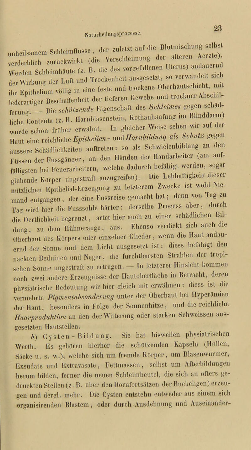 Naturheilungsprocesse. unheilsamemSchleimflusse, dor zulcUt auf die Blulmischung selbst verderblich zurilckwiikt (die Verscbleimung der alleren Acrzte> Warden Scbleimbaule (z. B. die des vorgefallenen Uterus) andaue.nd derWirkung der LufL und TrockenbeiL ausgesetzt, so vcrwandel sich ihr Epilbelium volbg in cine fesle und trockene lederarliger BescbaiTenbeit der tieferen Gewebe und trocknei Abscbi - rerun- - Die schut^ende Eigenscbaft des Schleimes gegen scbad- liche Contenta (z.B. Harnblasenstein, Kotbanbaufung im Bbnddarm) wurde scbon friiber erwabnt. In gleicber Weise seben wr auf der Haut eine reicblicbe mi\Hoimbildumj als Schutz gegen aussere Scbadlicbkeilen auftreten : so als Scbwielenbildung an den FUssen der Fussganger, an den Handen der Handarbeiter (am auf- falli-sten bei Feuerarbeitern, welcbe dadurcb befabigt werden, sogai glilbende Rorper ungestraft anzugreifen). Die Lel)baftigkeifc dieser nutzlicben Epilbelial-Erzeugung zu letzlerem Zwecke ist wobl Nie- mand entgangen, der eine Fussreise gemacbt bat; denn von Tag zu Tag wird bier die Fusssoble barter: derselbe Process aber, durch die°Oertlicbkeit begrenzt, artet bier aucb zu einer scbadbcben Bil- dung, zu deni Hiibnerauge, aus. Ebenso verdickt sicb aucb die Oberbaut des Korpers oder einzelner Glieder, wenn die Haut andau- ernd der Sonne und dem Licbt ausgesetzt ist: diess befabigt den nackten Beduinen und Neger, die furcbtbarsten Strablen der tropi- scben Sonne ungestraft zu erlragen. — In letzterer Hinsicbt kommen nocb zwei andere Erzeugnisse der Hautoberflacbe in Betracbt, deien pbysiatriscbe Bedeutung wir bier gleicb init erwabnen : diess ist die vermebrte Pigmentahsondemnfj unter der Oberbaut bei Hypeiamien der Haut, besonders in Folge der Sonnenbitze, und die reicblicbe Haarproduktion an den derWilterung oder starken Scbweissen aus- gesetzten Hautstellen. h) Cysten - Bildung. Sie bat bisweilen pbysiatriscben Wertb. Es gebfiren bierber die scbiitzenden Kapseln (Ililllen, Sacke u. s. w.), welcbe sicb uin fremde KOrpcr, um BlasenwUrmer, Exsudate und Extravasate, Fettmassen, selbst um Afterbildungeii berum bilden, feriier die neuen Scbleimbeutel, die sicb an dfters ge- drtlcklen Stellen (z. B. Uber den Dornforlsatzen der Buckeligen) erzeu- gen und dergl. mebr. Die Cysten entstebn entweder aus einem sicb organisirenden Blastem, oder durcb Ausdebnung und Auseinander-