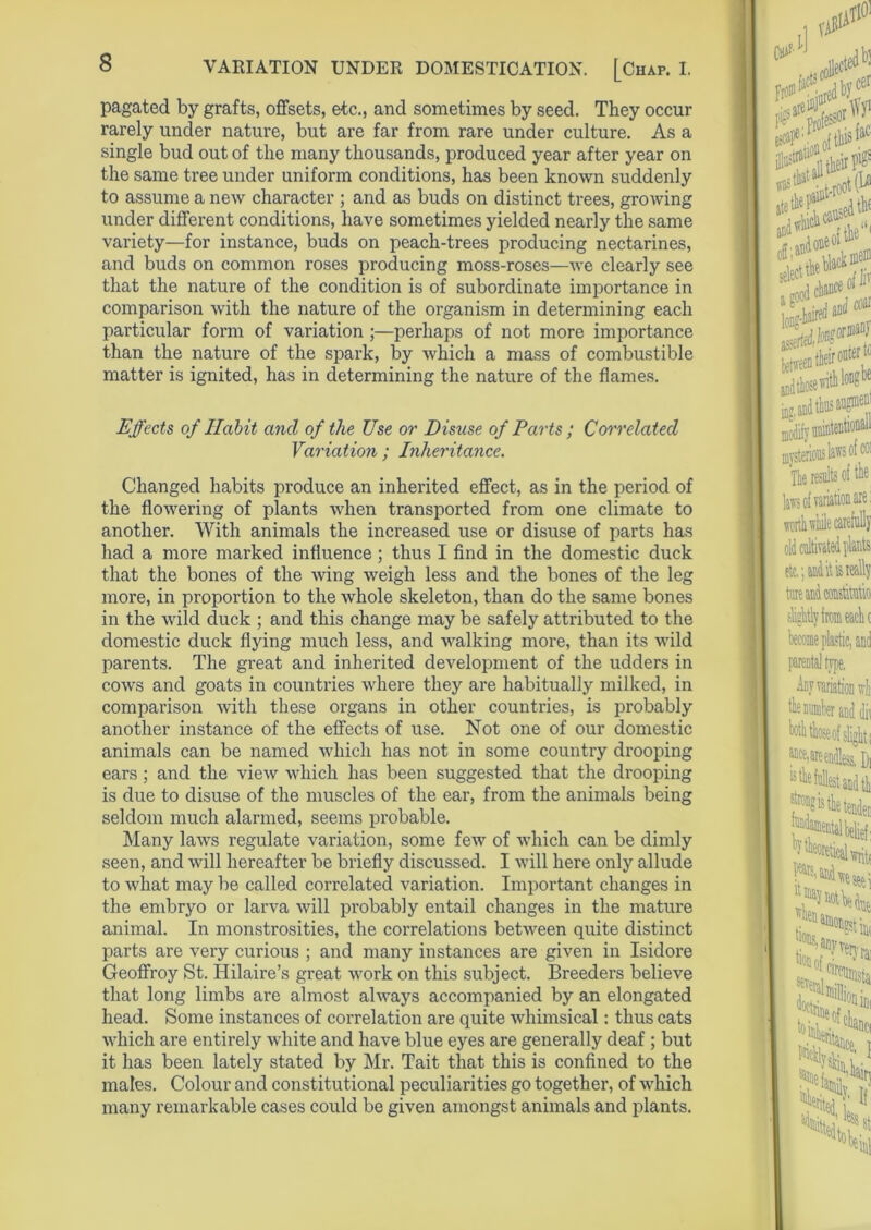 pagated by grafts, offsets, etc., and sometimes by seed. They occur rarely under nature, but are far from rare under culture. As a single bud out of the many thousands, produced year after year on the same tree under uniform conditions, has been known suddenly to assume a new character ; and as buds on distinct trees, growing under different conditions, have sometimes yielded nearly the same variety—for instance, buds on peach-trees producing nectarines, and buds on common roses producing moss-roses—we clearly see that the nature of the condition is of subordinate importance in comparison with the nature of the organism in determining each particular form of variation ;—perhaps of not more importance than the nature of the spark, by which a mass of combustible matter is ignited, has in determining the nature of the flames. Effects of Habit and of the Use or Disuse of Parts ; Correlated Variation ; Inheritance. Changed habits produce an inherited effect, as in the period of the flowering of plants when transported from one climate to another. With animals the increased use or disuse of parts has had a more marked influence; thus I find in the domestic duck that the bones of the wing weigh less and the bones of the leg more, in proportion to the whole skeleton, than do the same bones in the wild duck ; and this change may be safely attributed to the domestic duck flying much less, and walking more, than its wild parents. The great and inherited development of the udders in cows and goats in countries where they are habitually milked, in comparison with these organs in other countries, is probably another instance of the effects of use. Not one of our domestic animals can be named which has not in some country drooping ears; and the view which has been suggested that the drooping is due to disuse of the muscles of the ear, from the animals being seldom much alarmed, seems probable. Many laws regulate variation, some few of which can be dimly seen, and will hereafter be briefly discussed. I will here only allude to what may be called correlated variation. Important changes in the embryo or larva will probably entail changes in the mature animal. In monstrosities, the correlations between quite distinct parts are very curious ; and many instances are given in Isidore Geoflfroy St. Hilaire’s great work on this subject. Breeders believe that long limbs are almost always accompanied by an elongated head. Some instances of correlation are quite whimsical: thus cats which are entirely white and have blue eyes are generally deaf ; but it has been lately stated by Mr. Tait that this is confined to the males. Colour and constitutional peculiarities go together, of which many remarkable cases could be given amongst animals and plants.