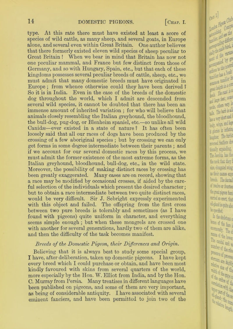 type. At this rate there must have existed at least a score of species of wild cattle, as many sheep, and several goats, in Europe alone, and several even within Great Britain. One author believes that there formerly existed eleven wild species of sheep peculiar to Great Britain ! When we bear in mind that Britain has now not one peculiar mammal, and France but few distinct from those of Germany, and so with Hungary, Spain, etc., but that each of these kingdoms possesses several peculiar breeds of cattle, sheep, etc., we must admit that many domestic breeds must have originated in Europe ; from whence otherwise could they have been derived ? So it is in India. Even in the case of the breeds of the domestic dog throughout the world, which I admit are descended from several wild species, it cannot be doubted that there has been an immense amount of inherited variation ; for who will believe that animals closely resembling the Italian greyhound, the bloodhound, the bull-dog, pug-dog, or Blenheim spaniel, etc.—so unlike all wild Canidae—ever existed in a state of nature 1 It has often been loosely said that all our races of dogs have been produced by the crossing of a few aboriginal species ; but by crossing we can only get forms in some degree intermediate between their parents ; and if we account for our several domestic races by this process, we must admit the former existence of the most extreme forms, as the Italian greyhound, bloodhound, bull-dog, etc., in the wild state. Moreover, the possibility of making distinct races by crossing has been greatly exaggerated. Many cases are on record, showing that a race may be modified by occasional crosses, if aided by the care- ful selection of the individuals which present the desired character; but to obtain a race intermediate between two quite distinct races, would be very difficult. Sir J. Sebright expressly experimented with this object and failed. The offspring from the first cross between two pure breeds is tolerably and sometimes (as I have found with pigeons) quite uniform in character, and everything seems simple enough ; but when these mongrels are crossed one with another for several generations, hardly two of them are alike, and then the difficulty of the task becomes manifest. Breeds of the Domestic Pigeon, their Differences and Origin. Believing that it is always best to study some special group, I have, after deliberation, taken up domestic pigeons. I have kept every breed which I could purchase or obtain, and have been most kindly favoured with skins from several quarters of the world, more especially by the Hon. W. Elliot from India, and by the Hon. C. Murray from Persia. Many treatises in different languages have been published on pigeons, and some of them are very important, as being of considerable antiquity. I have associated with several eminent fanciers, and have been permitted to join two of the